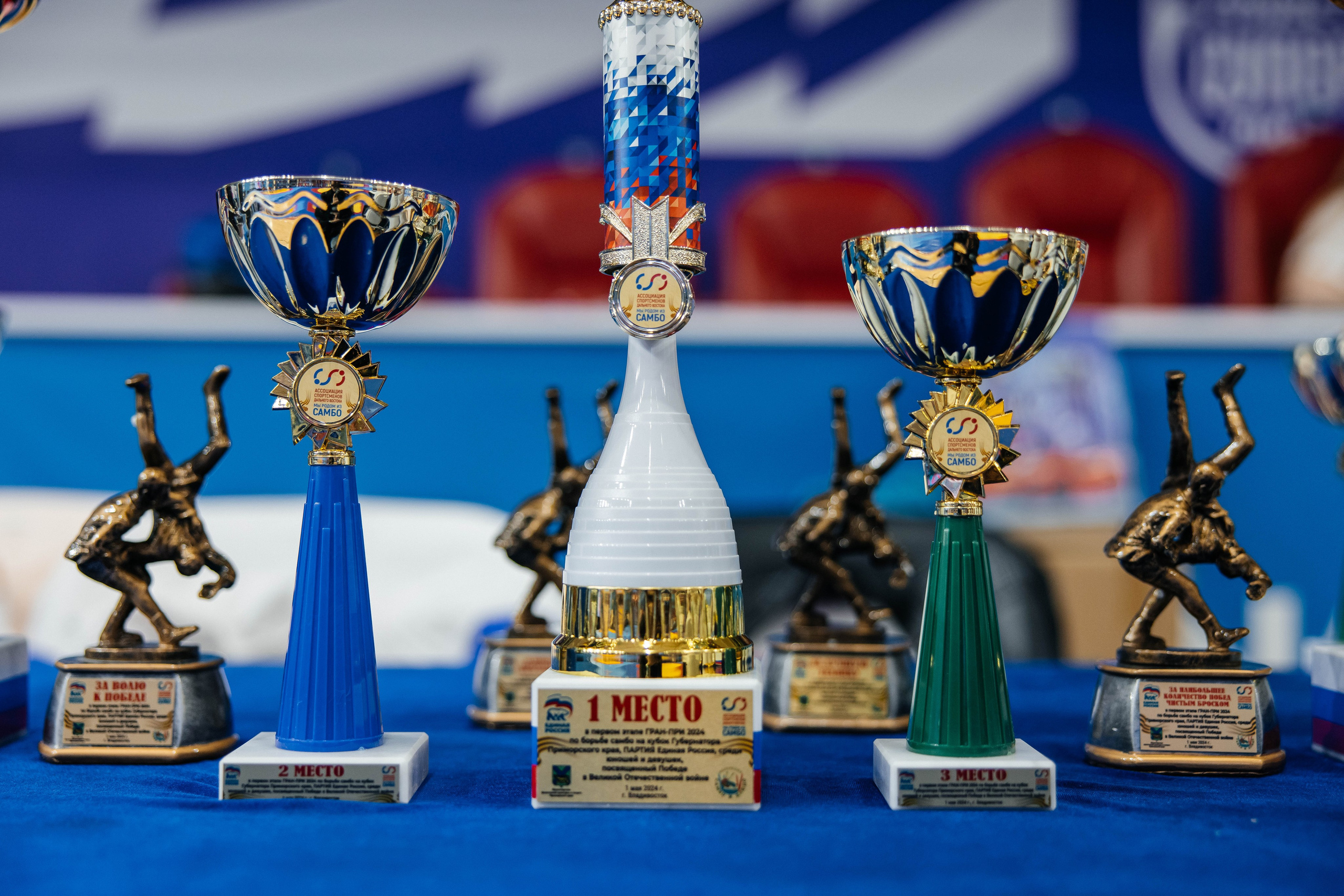 Sambo Championship. Maxim Tsoy Photography