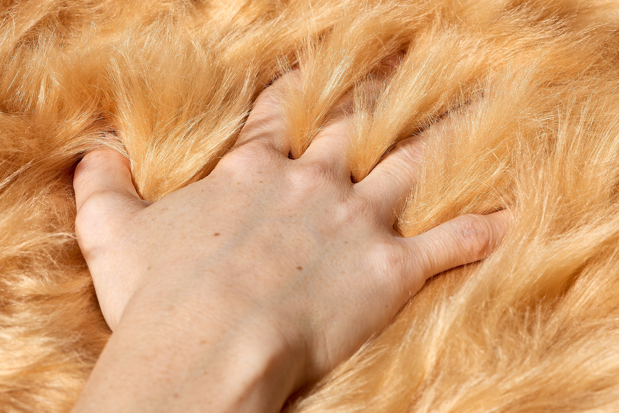 Предметная фотосъемка