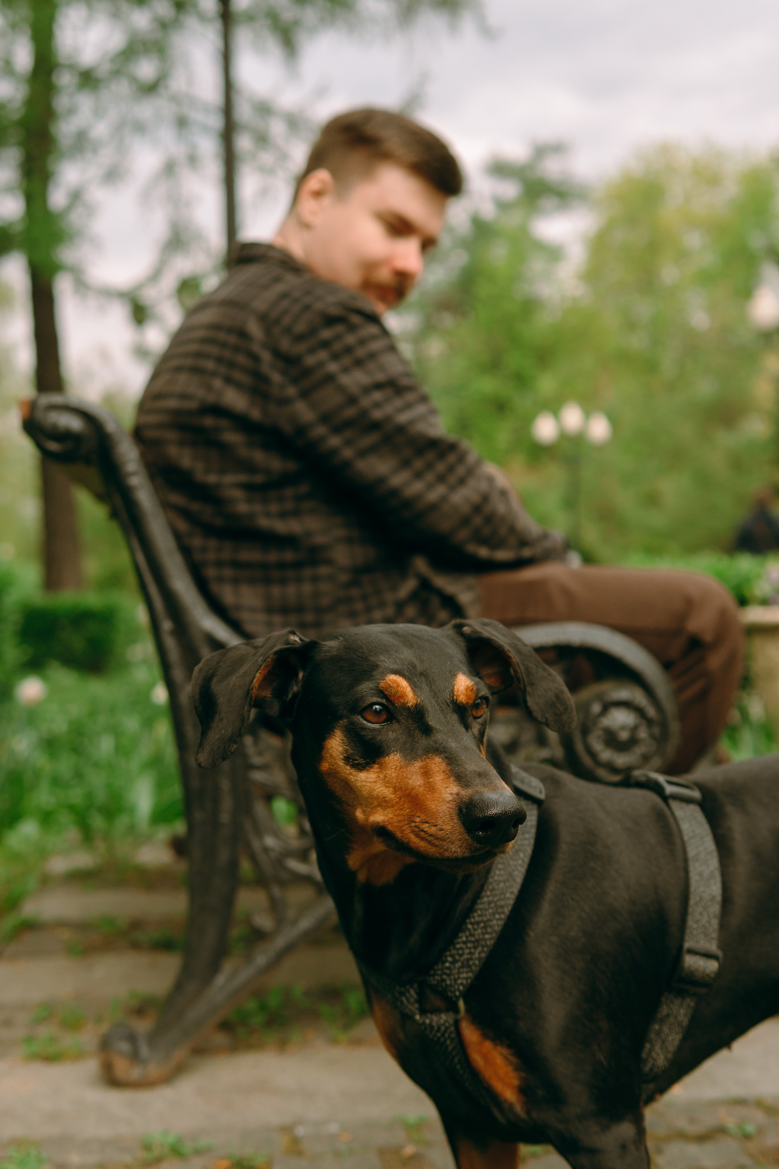 Кира, Максим и Аскара. Фотограф-анималист Ксения Воробьева, Москва