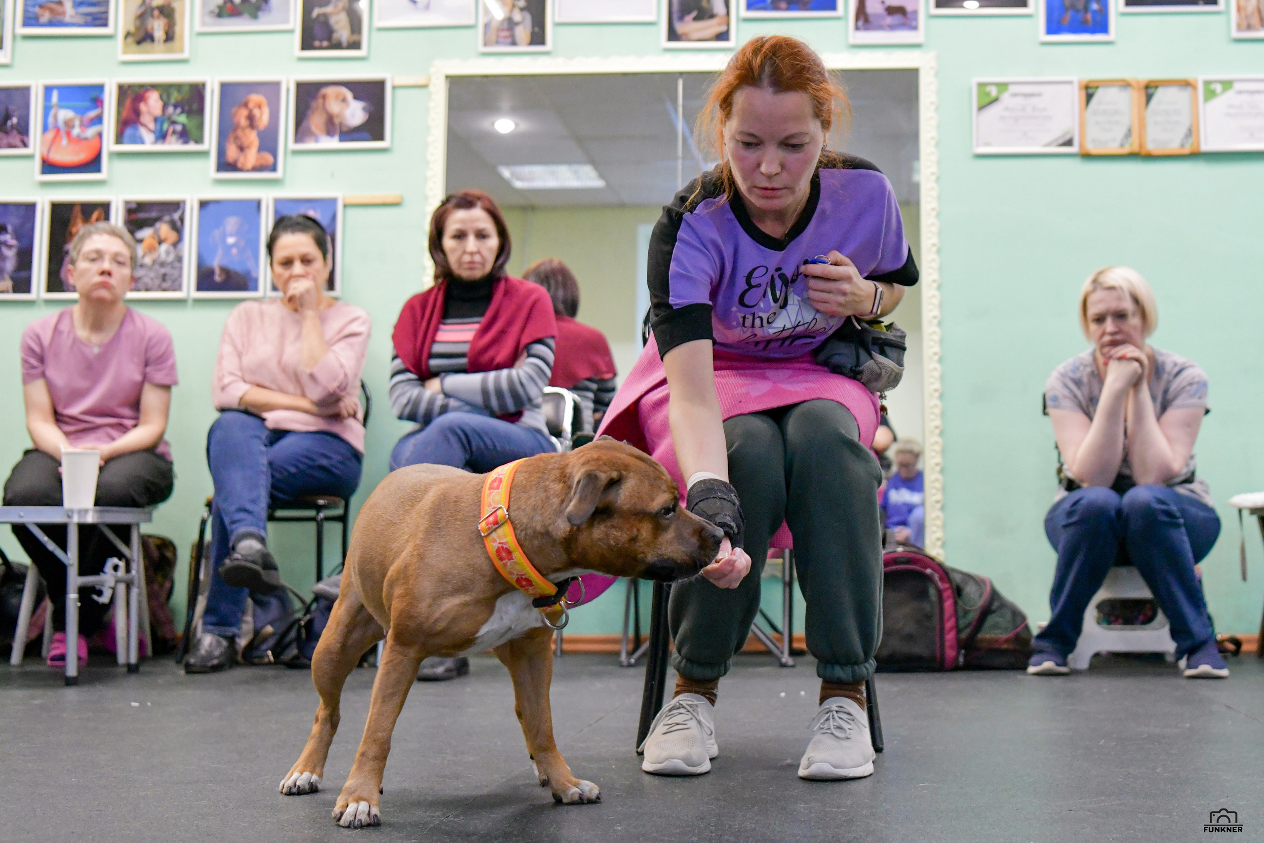 Кинологический клуб «Бодрый хвост». Свой взгляд через объектив