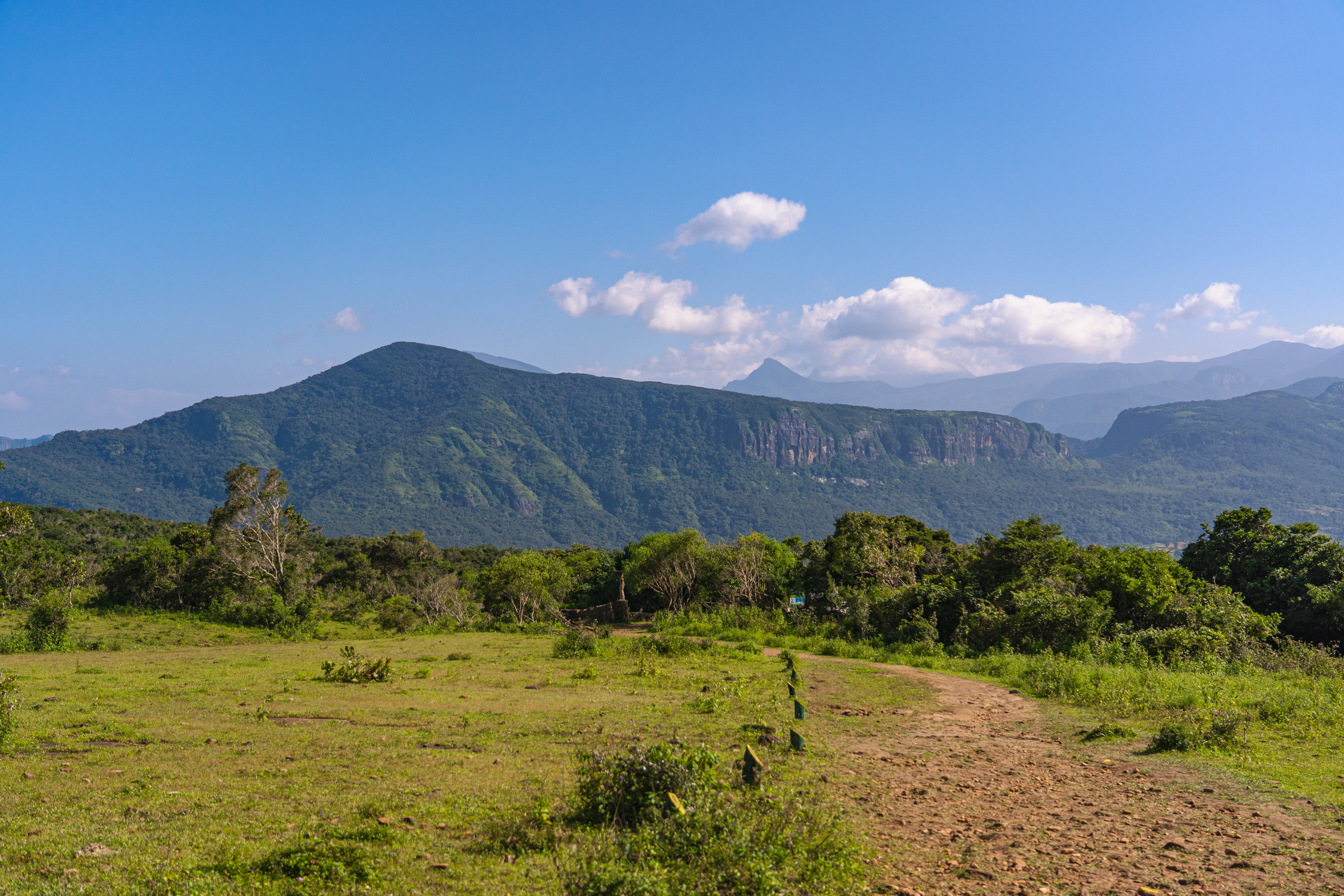 Promo content shooting for Ceylon Forward Tours