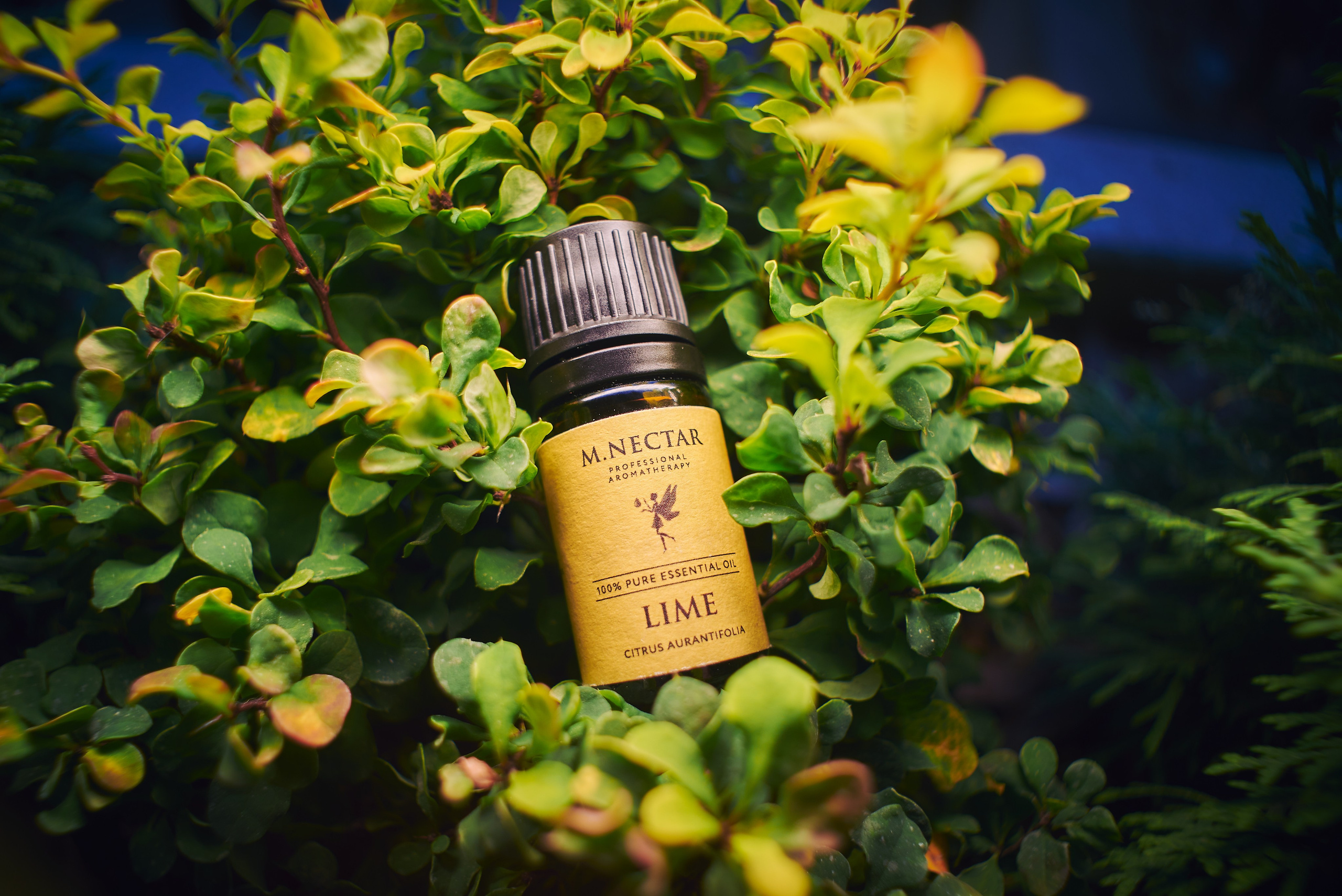 Рекламные фото вашего товара или услуги.