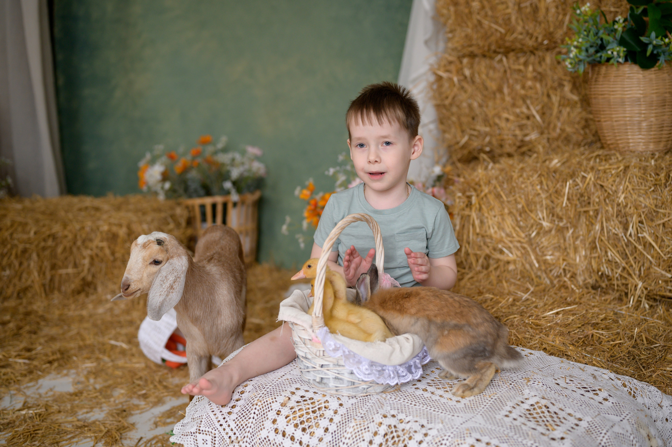 Фотостудия «Рояль» зал «Графика». Фотограф новорожденных, семейный детский в Тюмени Татьяна Морозова