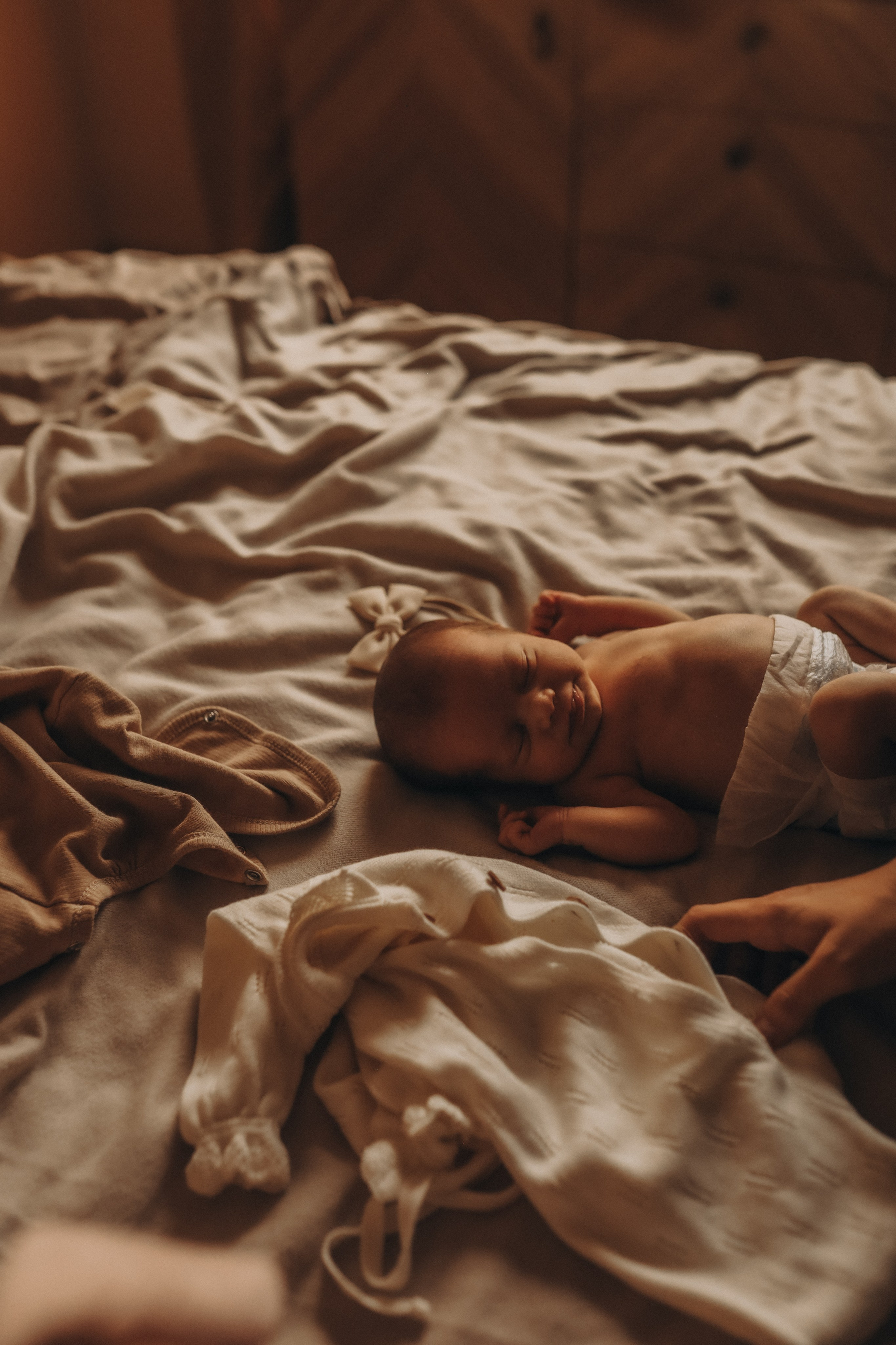 Услуги. Семейный фотограф Екатерина Силкина