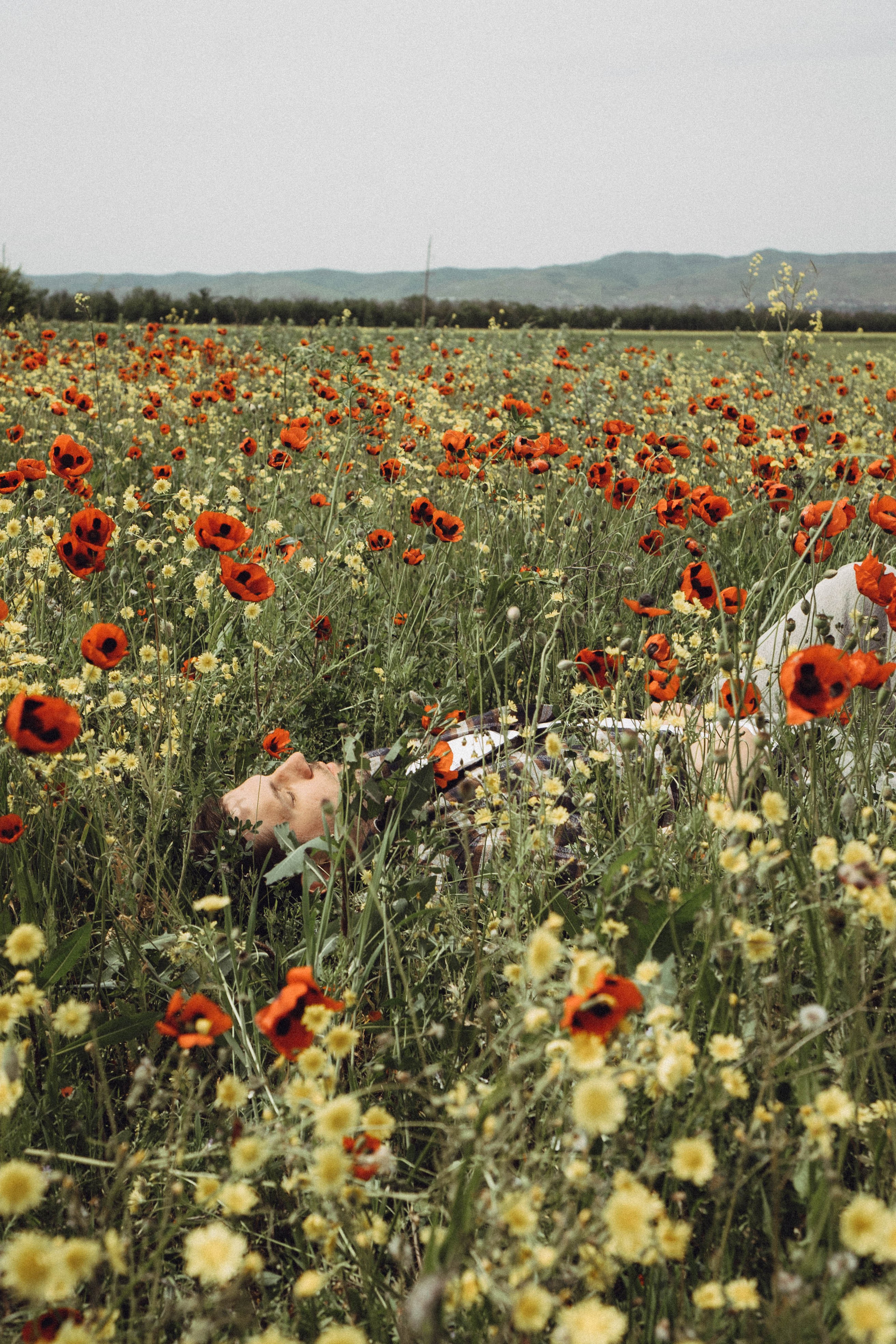 Маки. Профессиональный фотограф, Санкт-Петербург — Виктория Богомолова