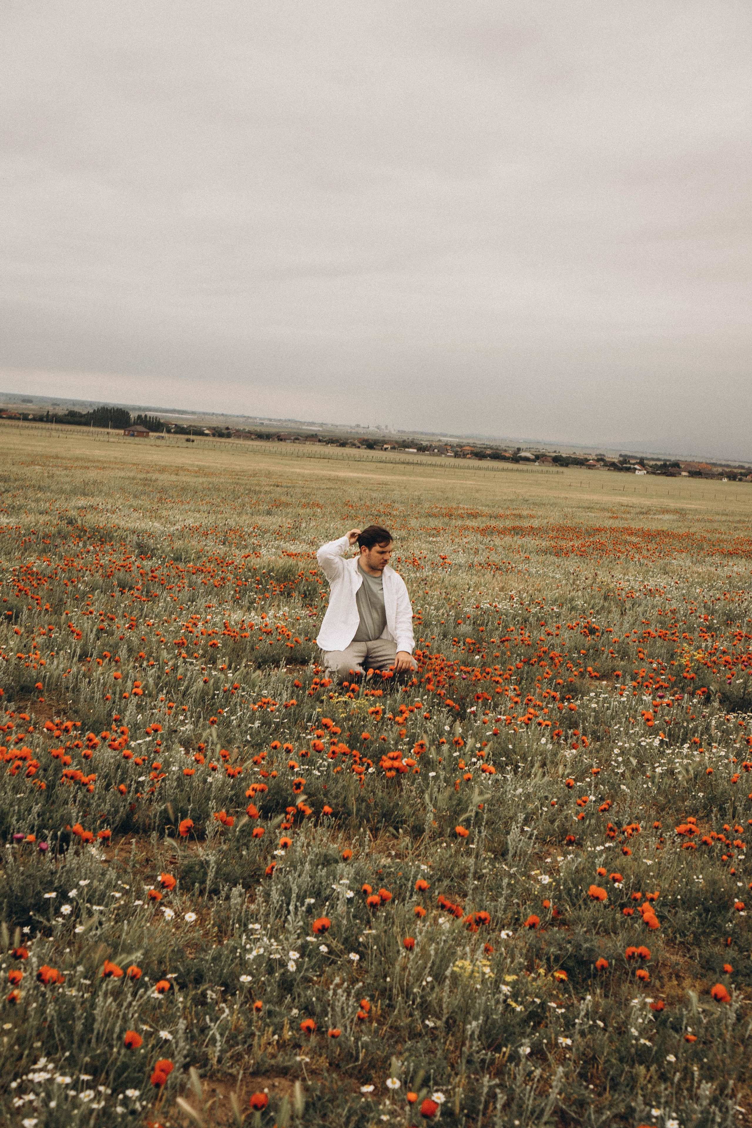Маки. Профессиональный фотограф, Санкт-Петербург — Виктория Богомолова
