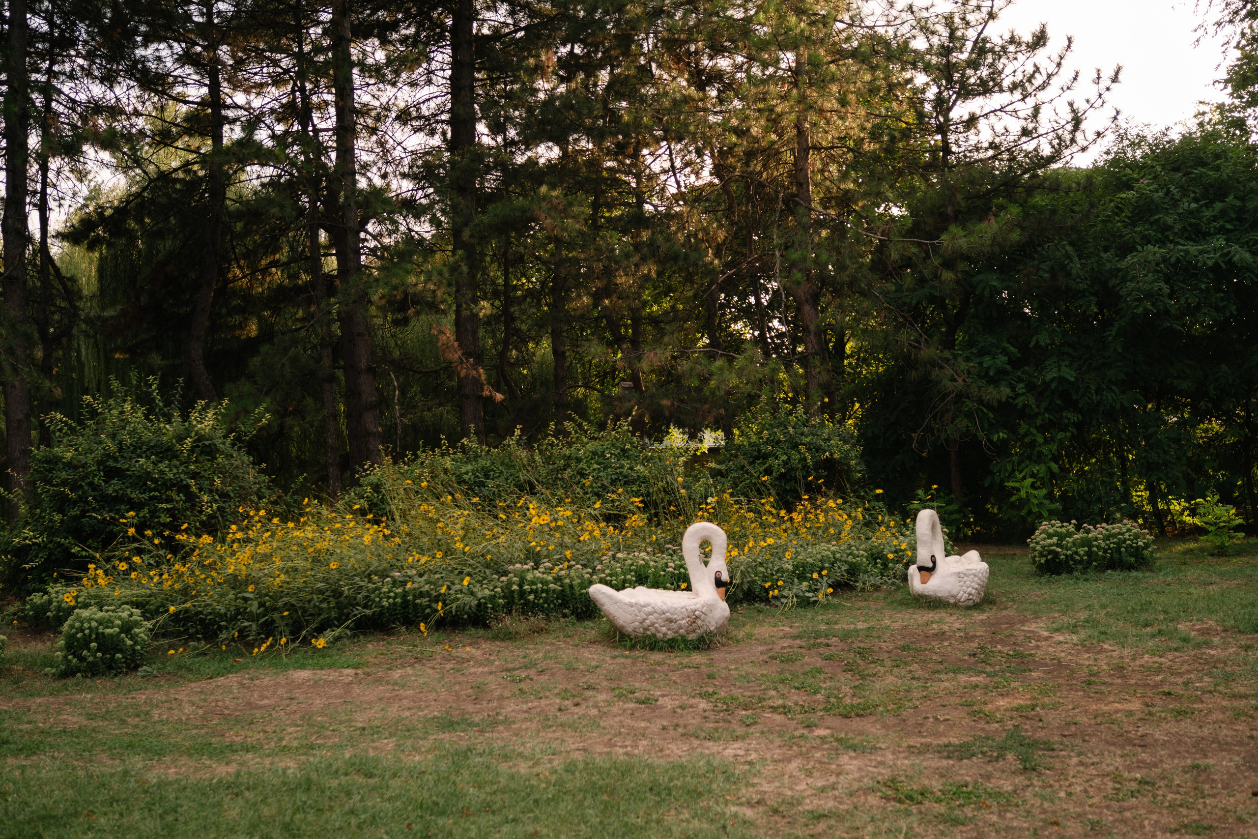 Локации для школьных съемок. Семейный фотограф и видеограф Ростов-на-Дону