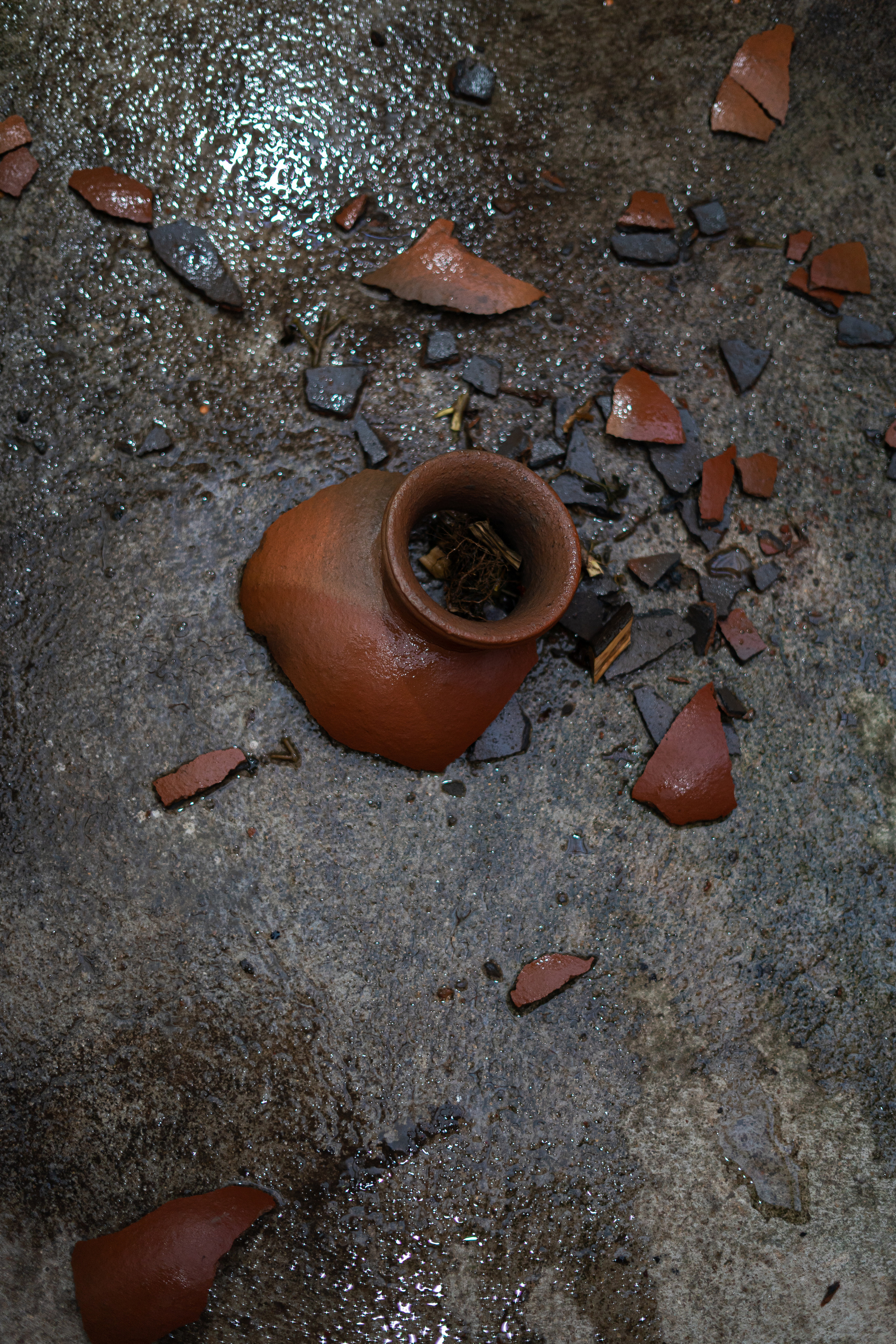 Фотограф заказать фотосессию где искать фотографа москве москва шри-ланка на острове на шри-ланке в россии заграницей международный фотограф оператор забронировать съемку съемка с профессиональным фотографом контент для инстаграм instagram photographer content maker reels рилсы видео видеограф девушки красивые девушки на фото фотографии для девушек лов стори портрет свадебнаяфотография свадьба фотохудожник фотографируюлюдей лучшийфотограф профессиональный фотограф 50мм портретный объектив снимки на сони альфа цветкова таня татьяна сайт фотографа портфолио репортажная съемка мероприятий событий праздников день рождения свадьбы церемония крещения свадьба венчание