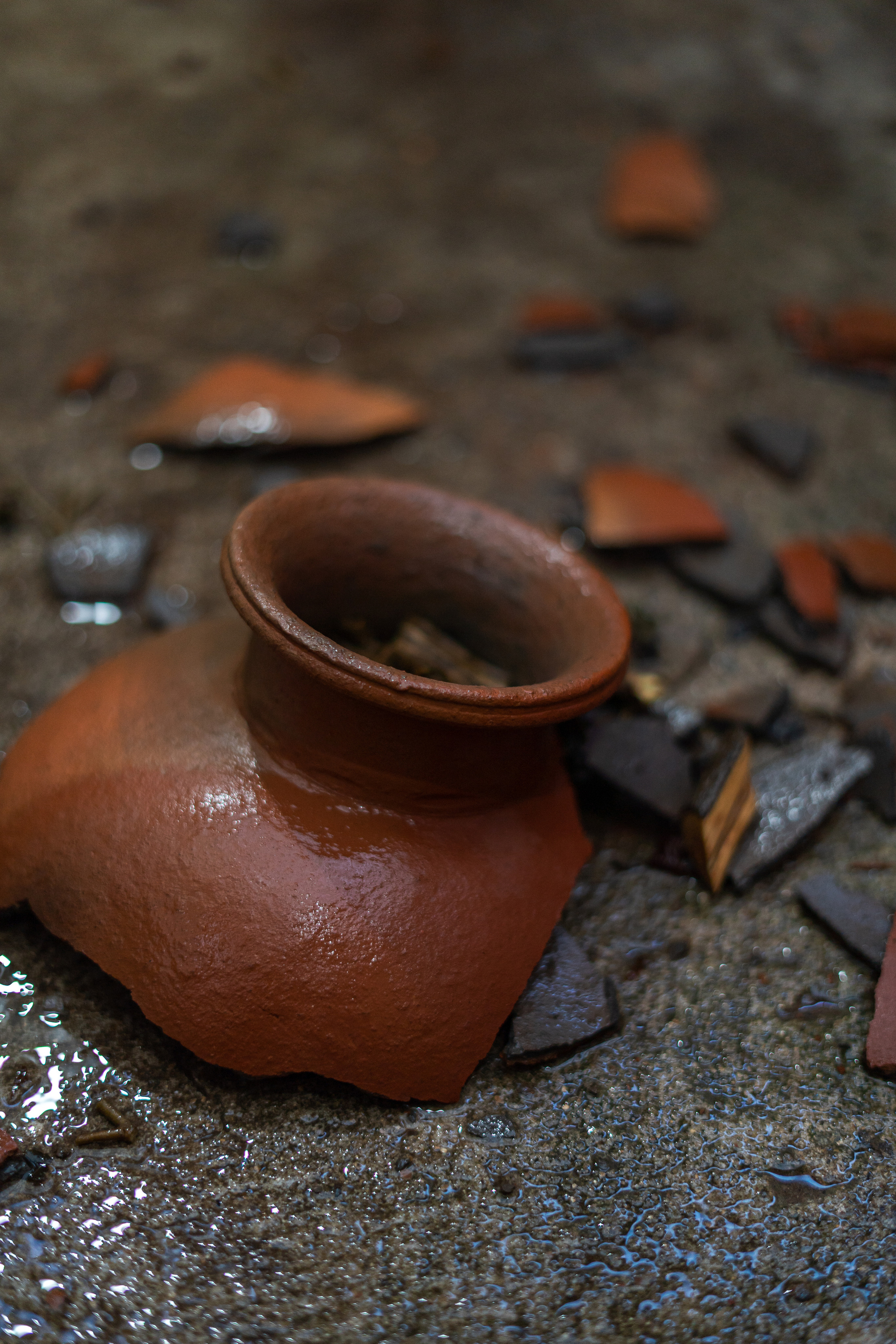 Фотограф заказать фотосессию где искать фотографа москве москва шри-ланка на острове на шри-ланке в россии заграницей международный фотограф оператор забронировать съемку съемка с профессиональным фотографом контент для инстаграм instagram photographer content maker reels рилсы видео видеограф девушки красивые девушки на фото фотографии для девушек лов стори портрет свадебнаяфотография свадьба фотохудожник фотографируюлюдей лучшийфотограф профессиональный фотограф 50мм портретный объектив снимки на сони альфа цветкова таня татьяна сайт фотографа портфолио репортажная съемка мероприятий событий праздников день рождения свадьбы церемония крещения свадьба венчание