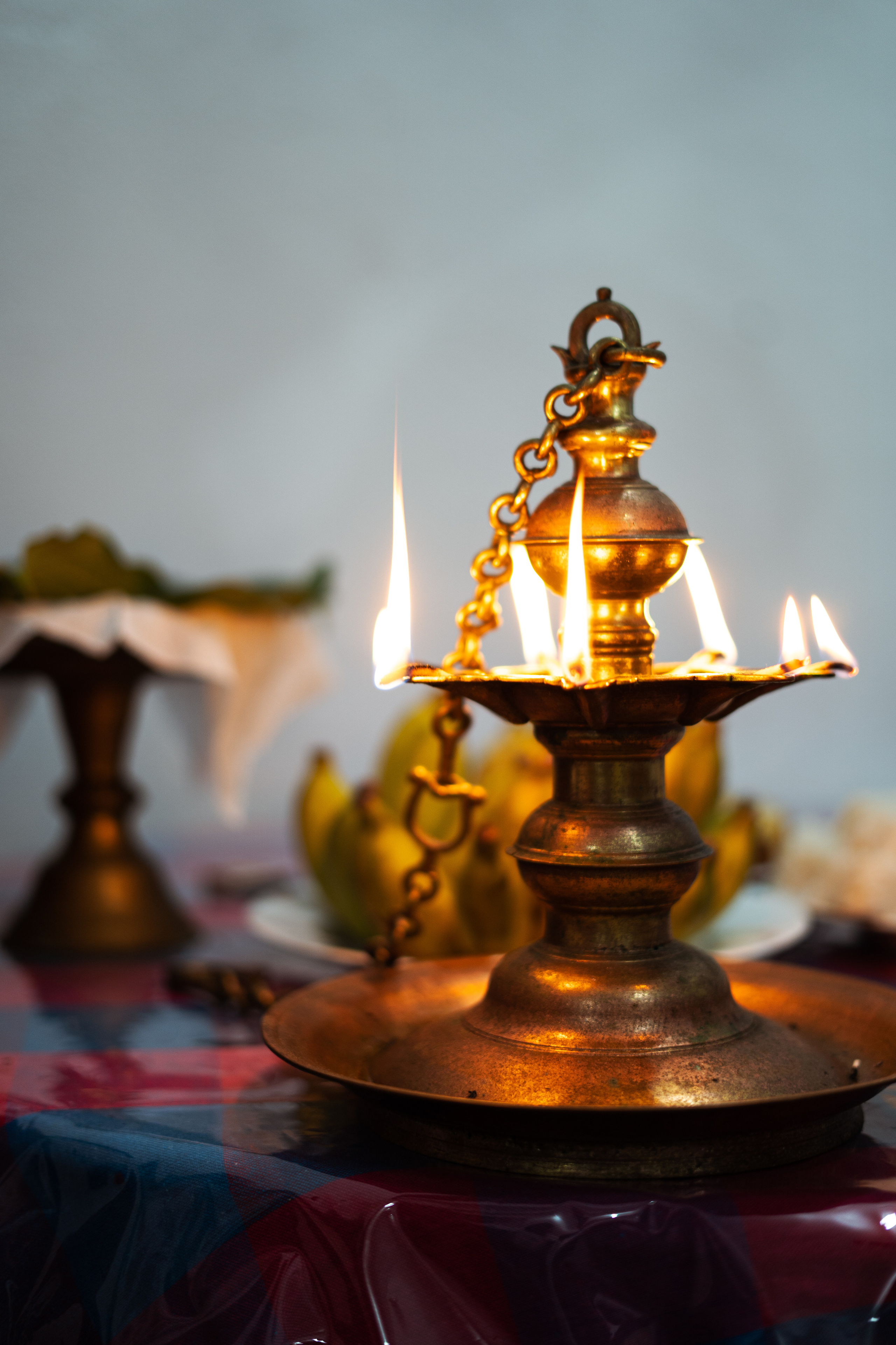 Фотограф заказать фотосессию где искать фотографа москве москва шри-ланка на острове на шри-ланке в россии заграницей международный фотограф оператор забронировать съемку съемка с профессиональным фотографом контент для инстаграм instagram photographer content maker reels рилсы видео видеограф девушки красивые девушки на фото фотографии для девушек лов стори портрет свадебнаяфотография свадьба фотохудожник фотографируюлюдей лучшийфотограф профессиональный фотограф 50мм портретный объектив снимки на сони альфа цветкова таня татьяна сайт фотографа портфолио репортажная съемка мероприятий событий праздников день рождения свадьбы церемония крещения свадьба венчание