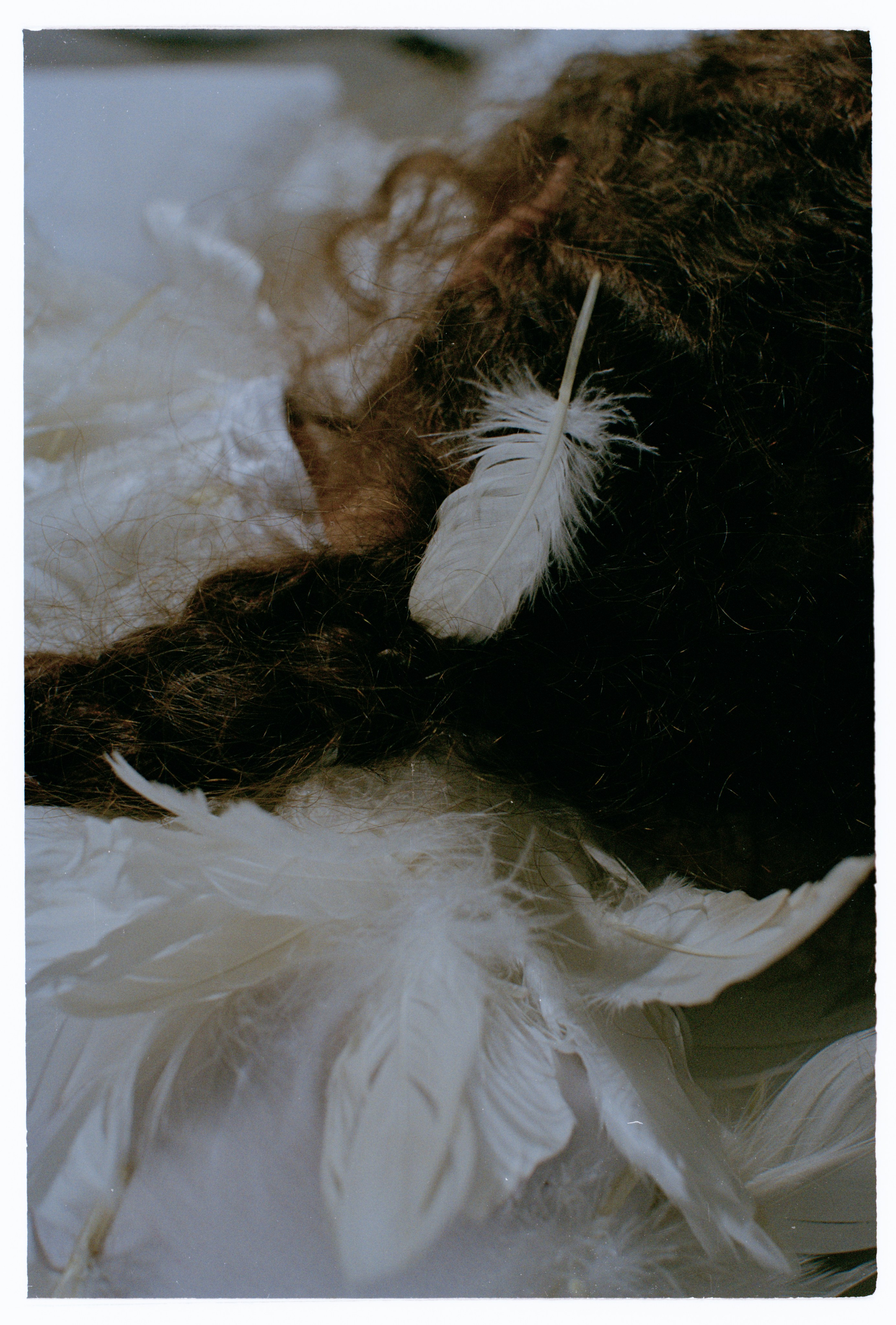 Лиза Громова. Илья Симонов фотограф москва