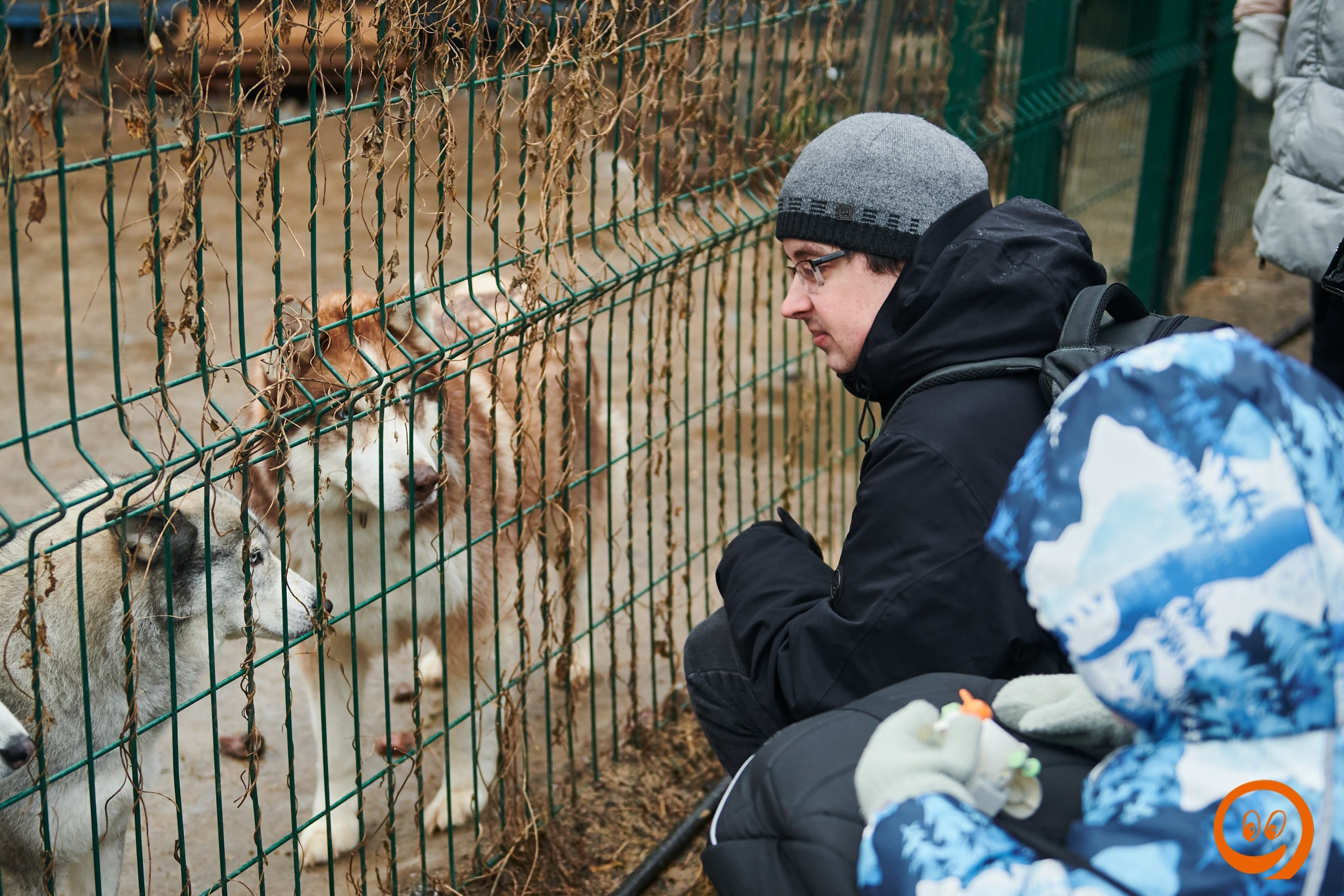 В гости к северным оленям | 18.01.2025. Галерея Фантим