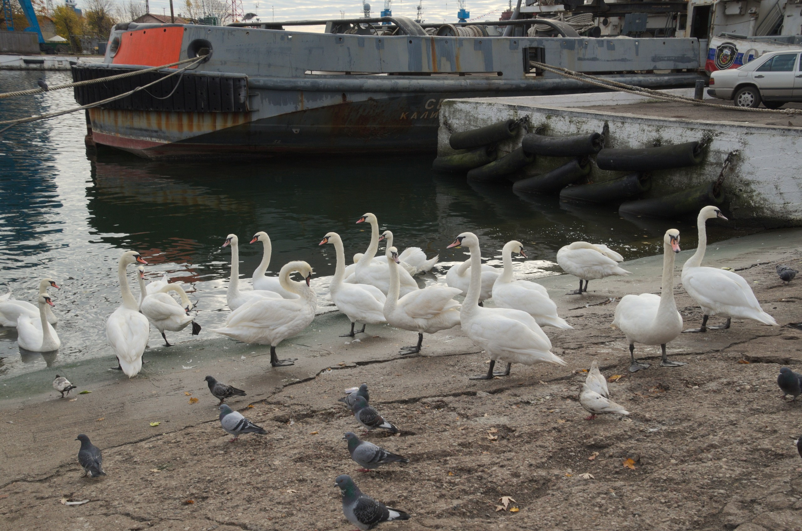 Калининград | 03-05.11.2018. Галерея Фантим