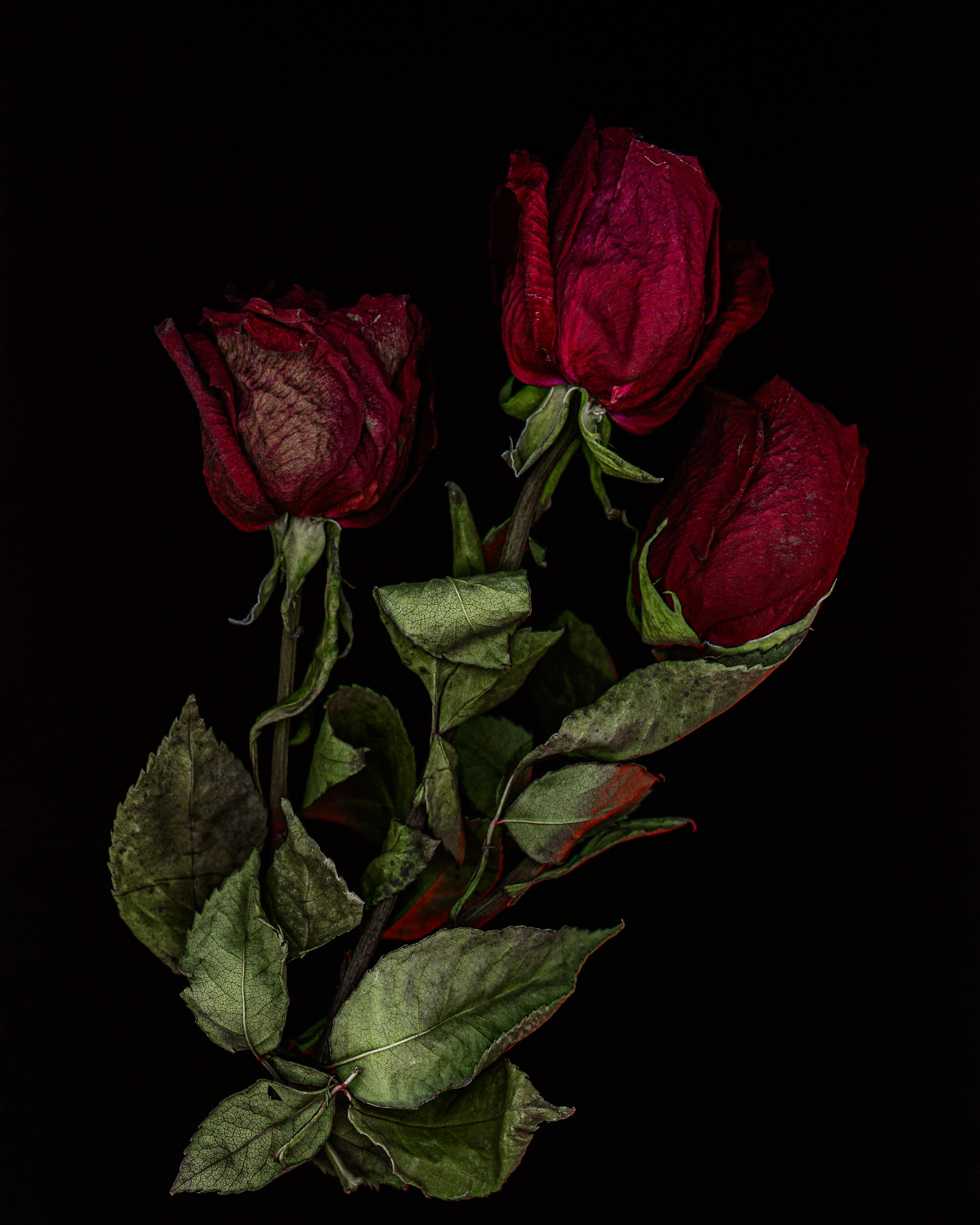 Поэзия цветов. Портретный фотограф в Челябинске Катерина Руди