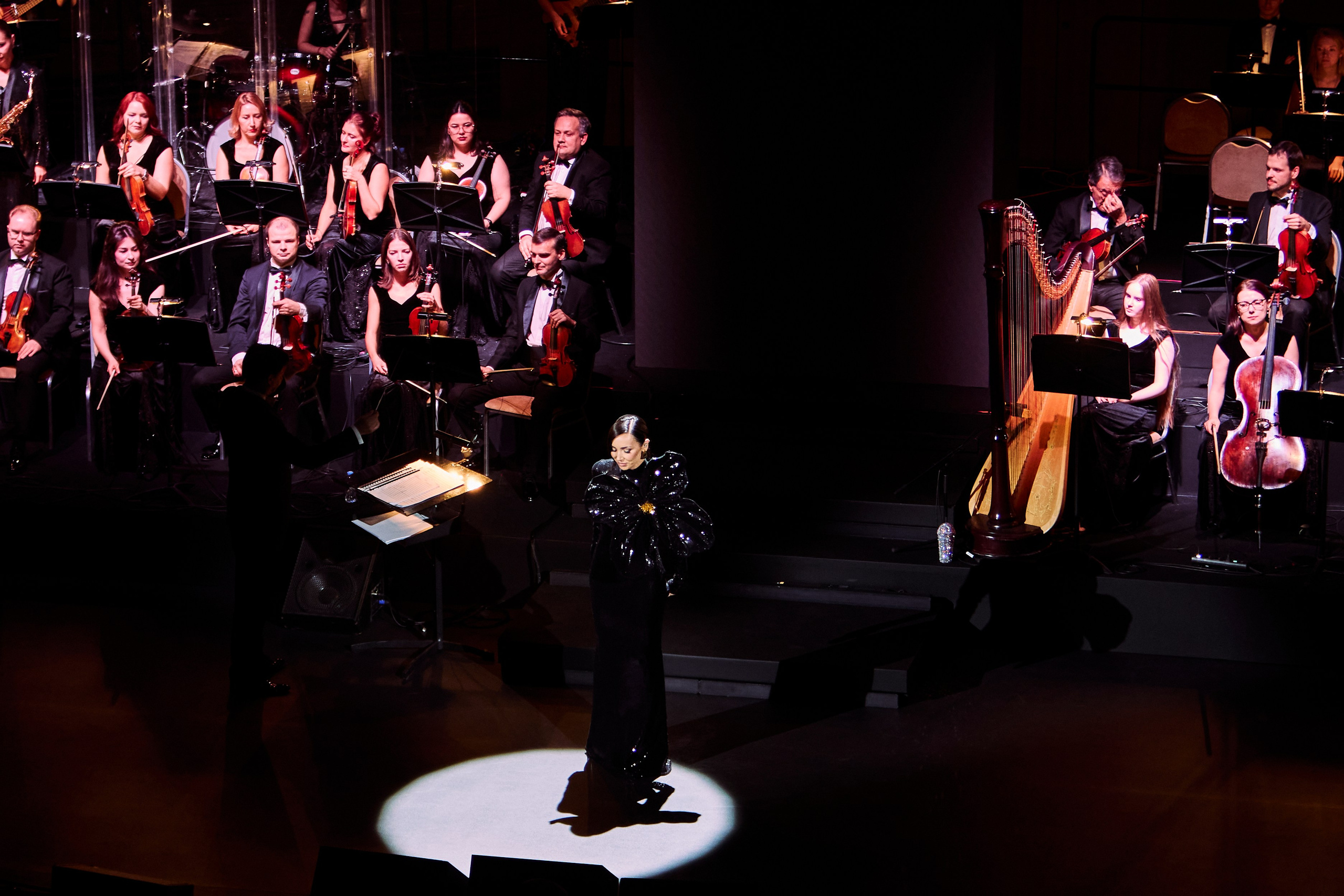 Concert. Репортажный фотограф, портретный фотограф  г. Москва