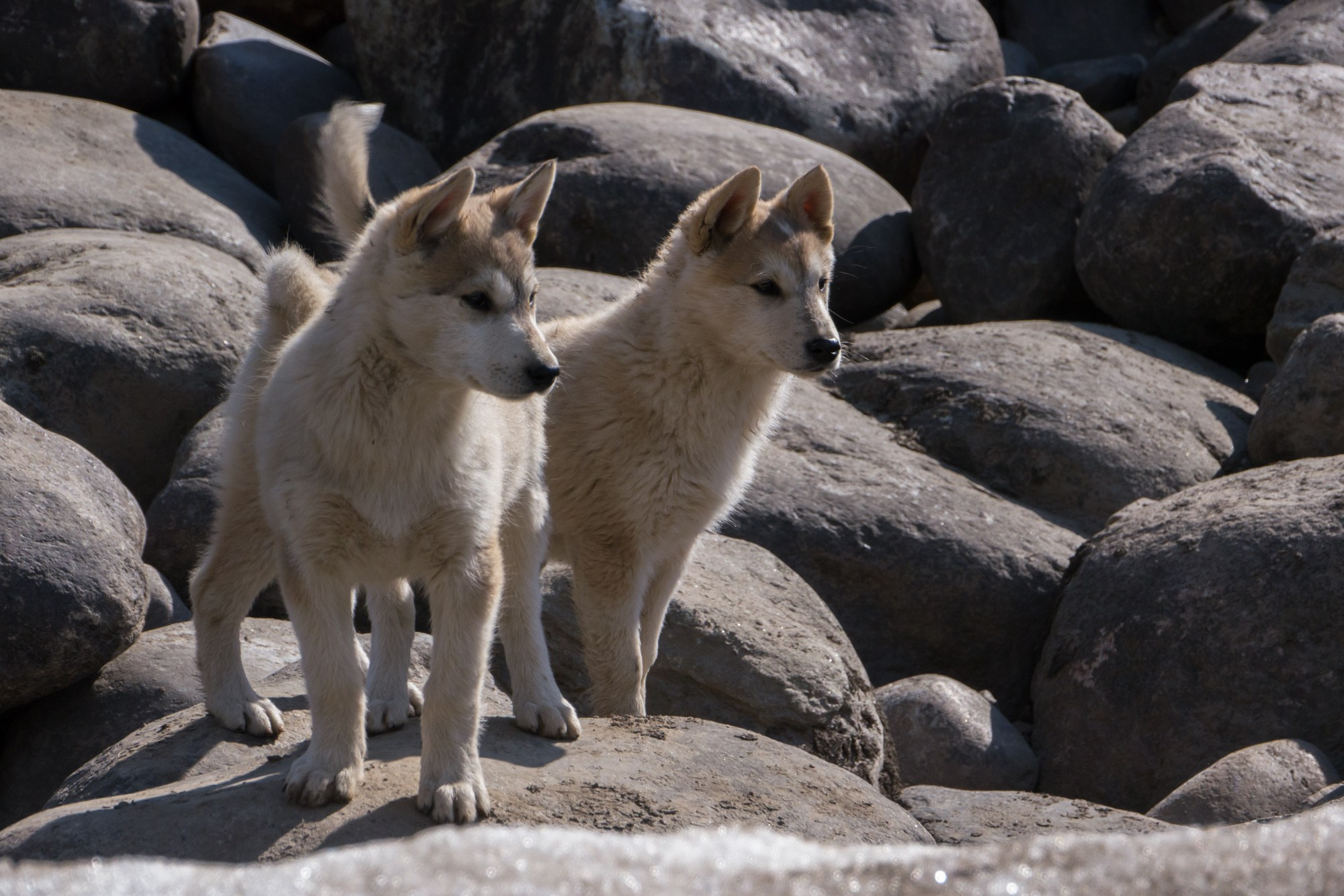 Якутия. Фотограф Алексей Скоробогатько