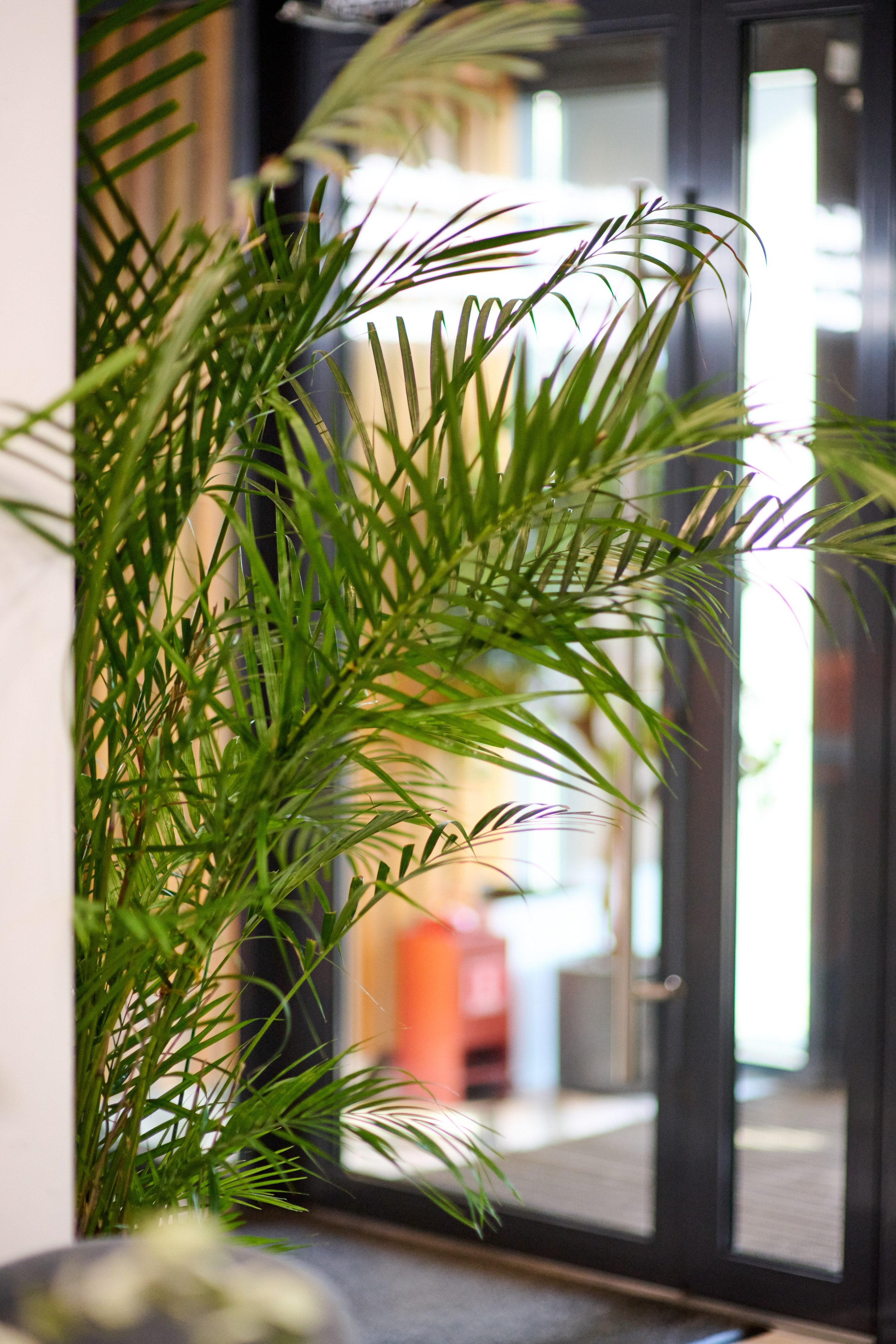 Кофейня. Главная