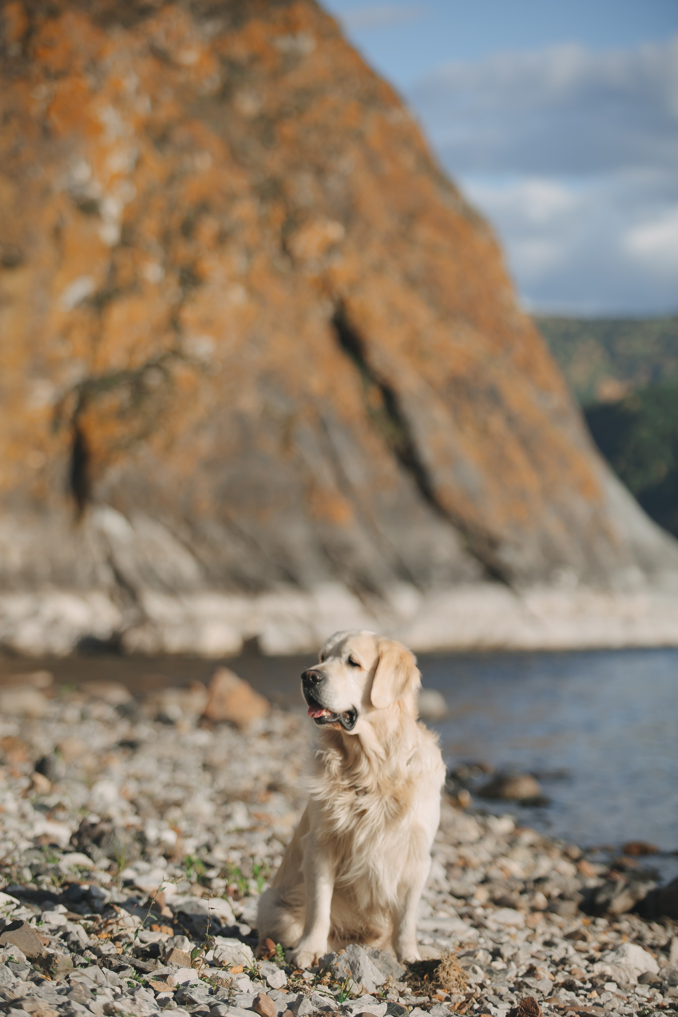 Снежик и Веста. Свадебный и женский фотограф