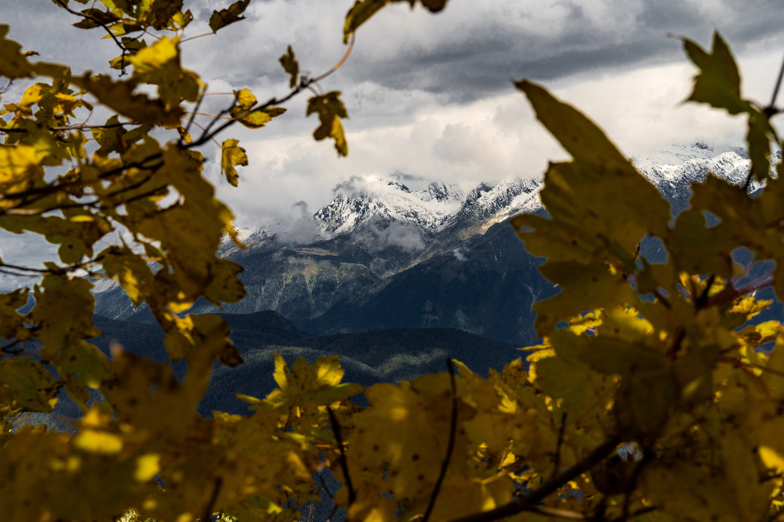 Трейловый бег «Альпиндустрия. Три курорта''. Репортажный фотограф в Красной Поляне и Сочи Павлюченко Екатерина