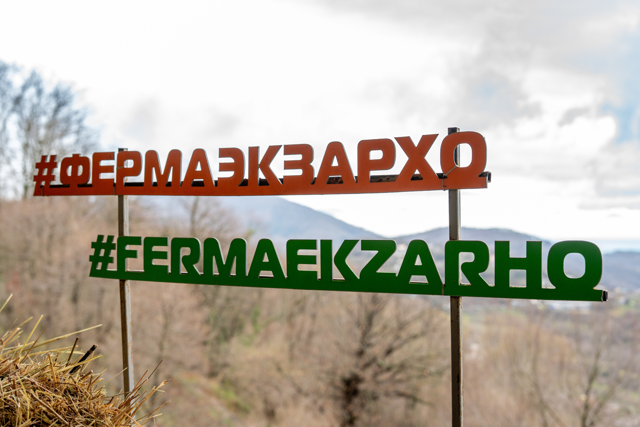 MICE мероприятие на ферме Экзархо. Репортажный фотограф в Красной Поляне и Сочи Павлюченко Екатерина