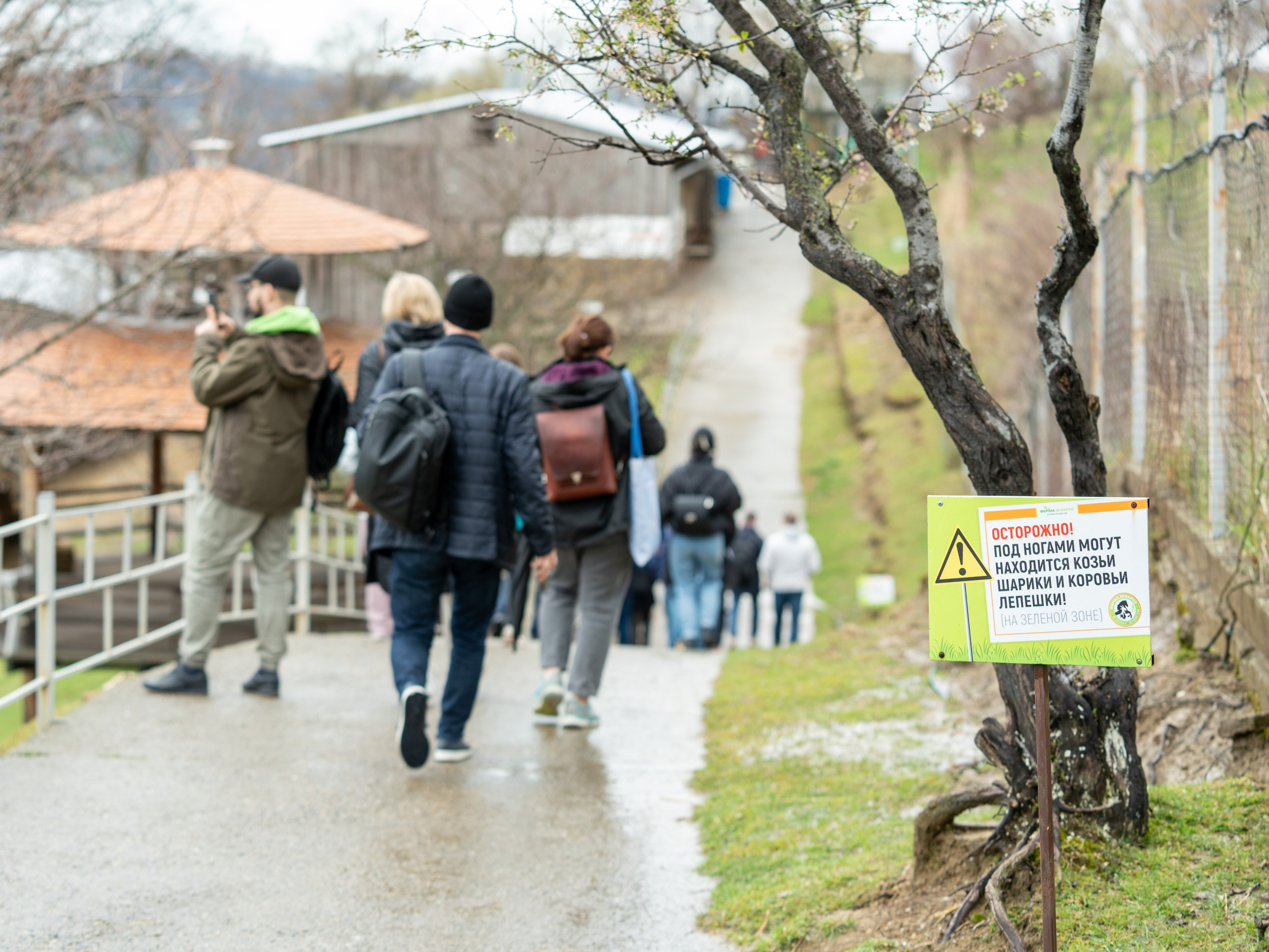 MICE мероприятие на ферме Экзархо. Репортажный фотограф в Красной Поляне и Сочи Павлюченко Екатерина