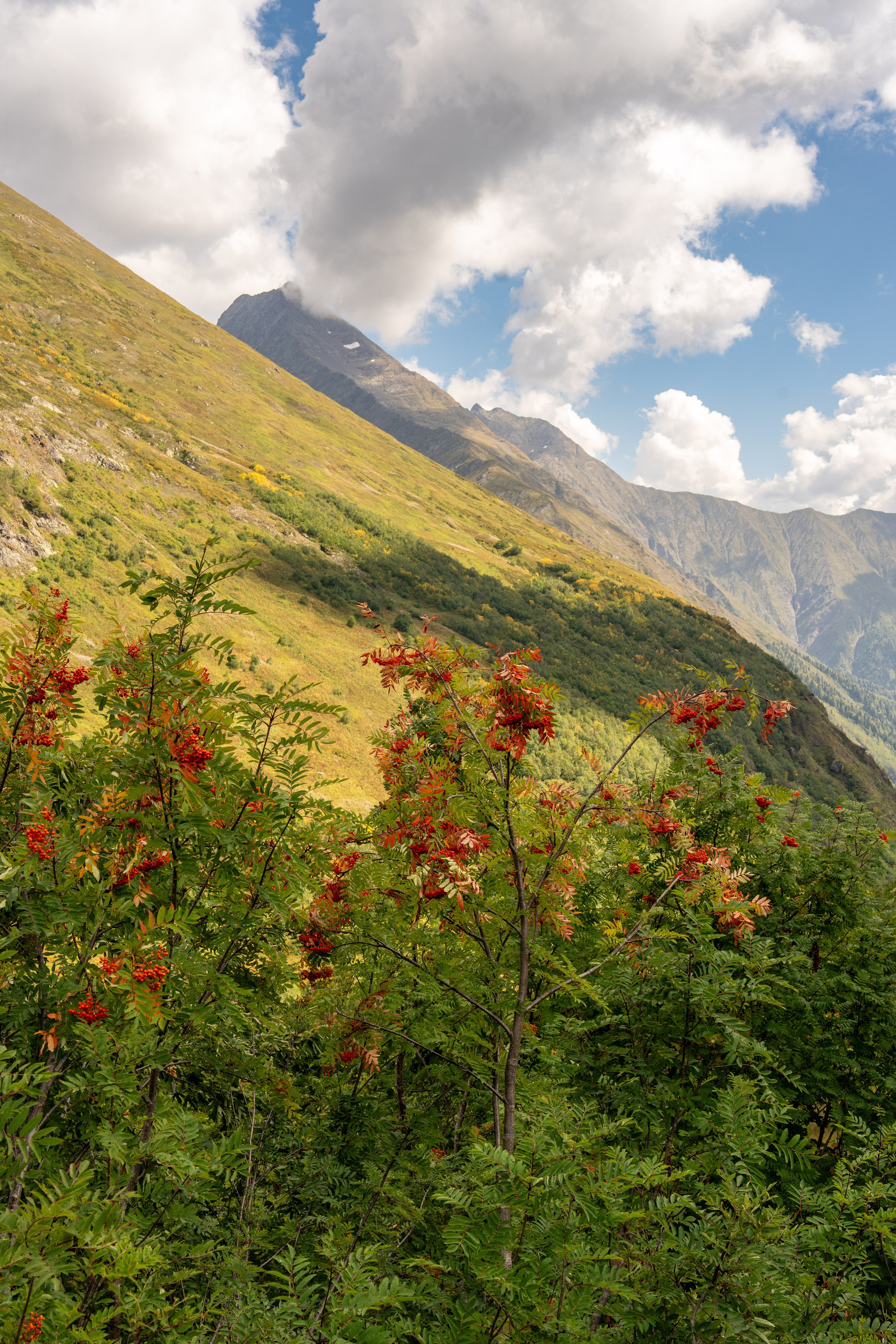 Поход для профсоюза курорта «Газпром Поляна» на Бзерпинский карниз. Репортажный фотограф в Красной Поляне и Сочи Павлюченко Екатерина