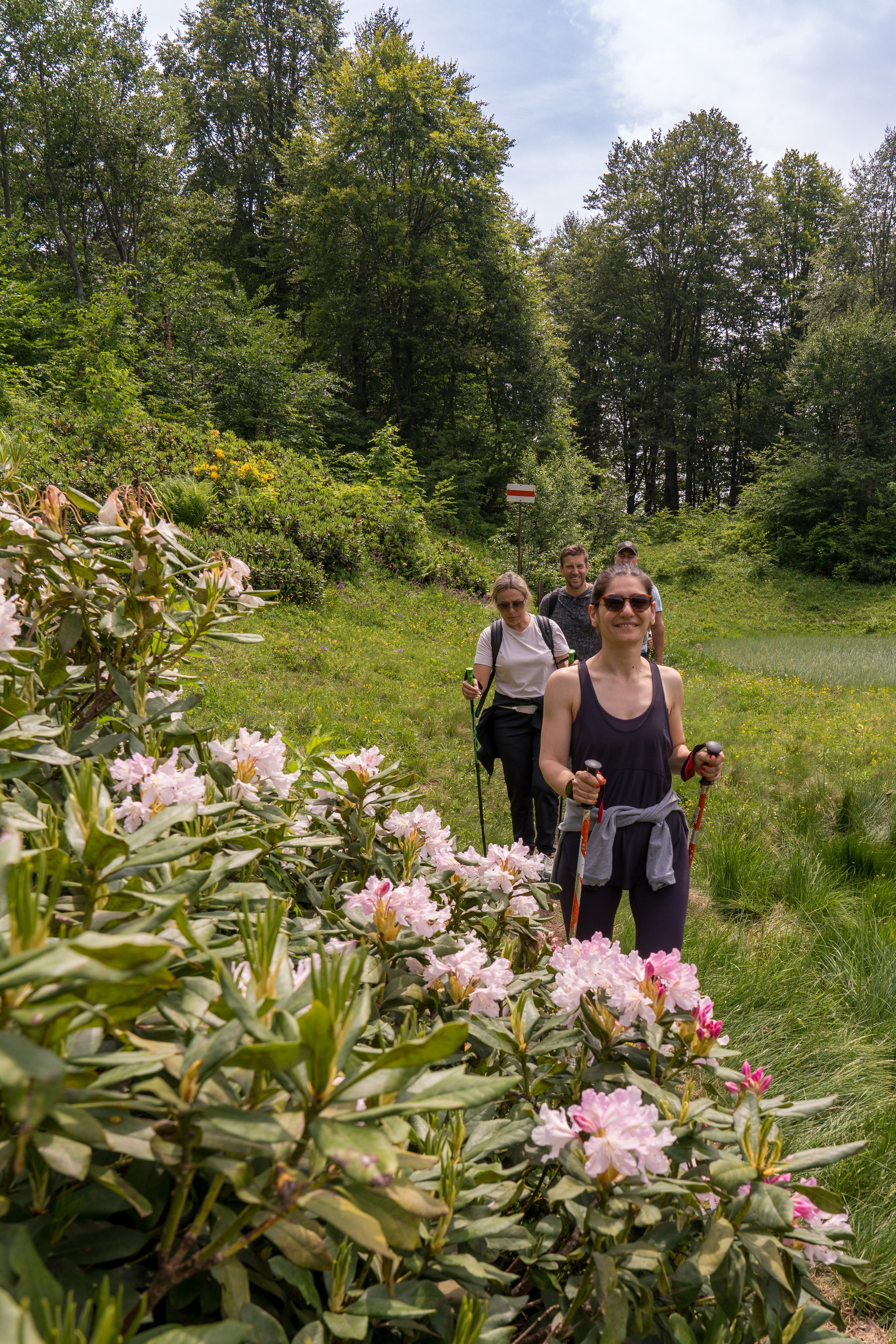 MICE мероприятие для компании «Доставка морем»: хайкинг к Ачипсинским водопадам. Репортажный фотограф в Красной Поляне и Сочи Павлюченко Екатерина