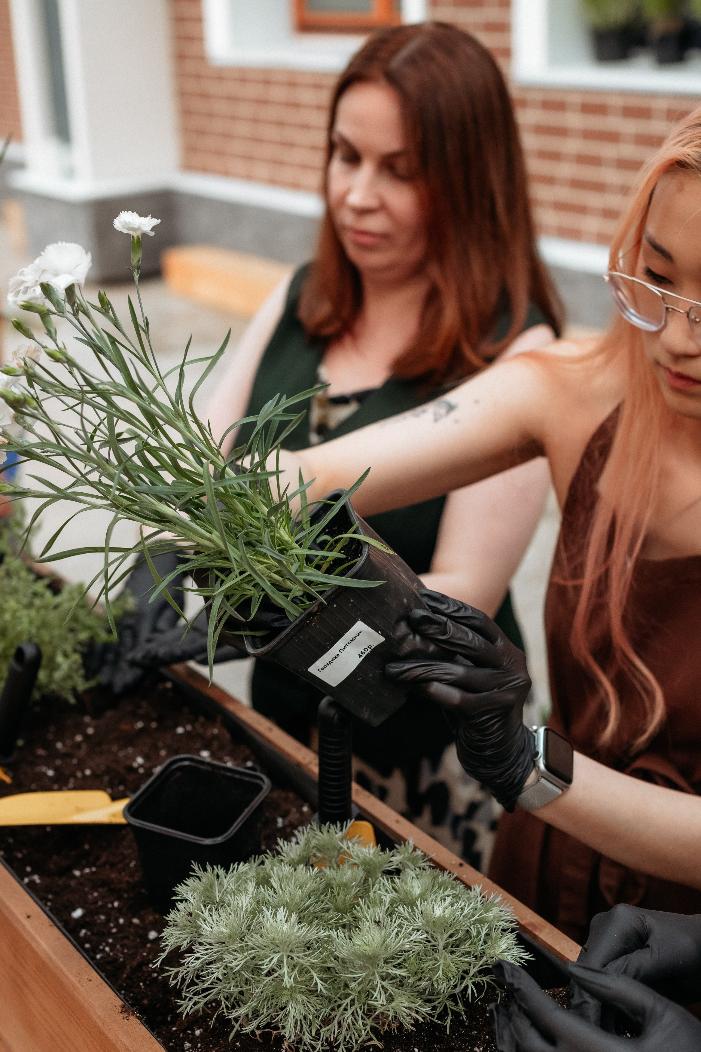 РЕСНОТА — ОТКРЫТИЕ ТЕРРАСЫ. СВОИ. ФОТООТЧЕТЫ-СОБЫТИЯ-МЕСТА