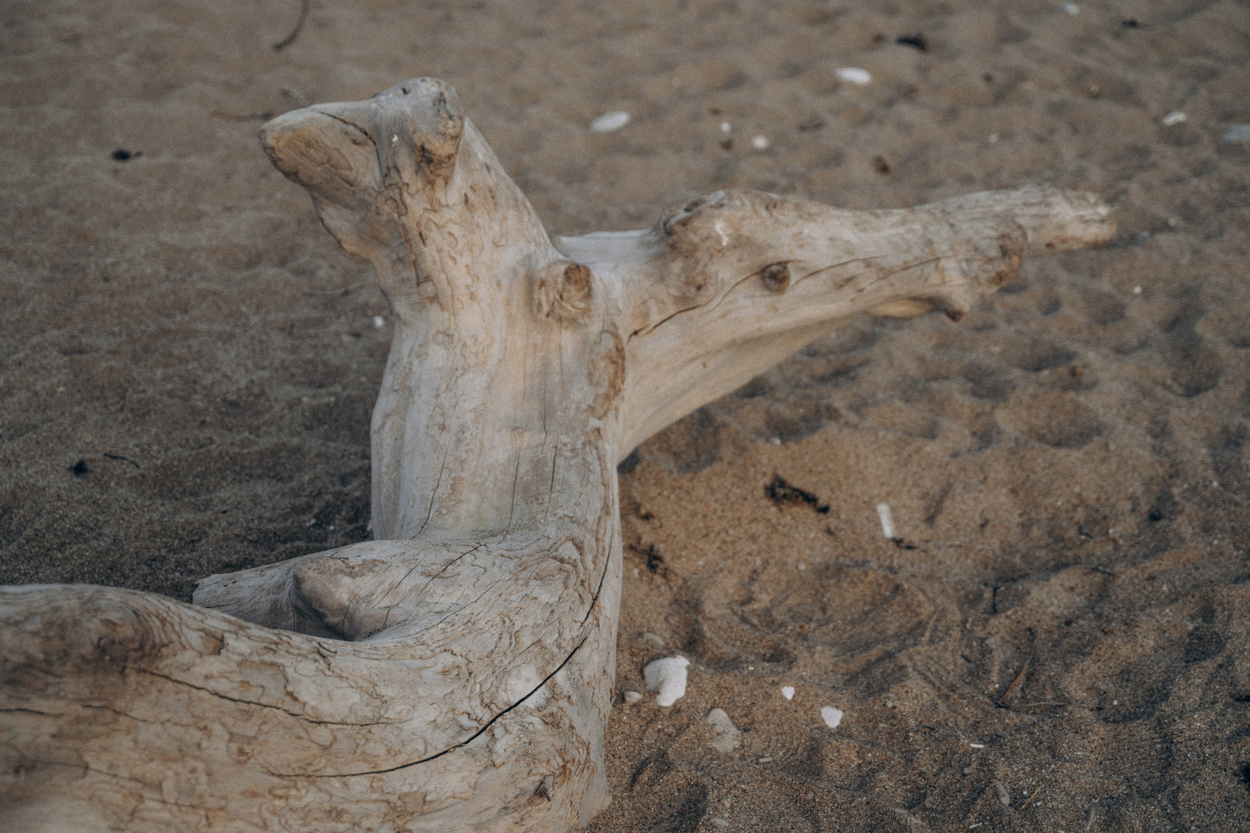 Ян и Анастасия. Мария Кобзева, фотограф в Ялте, Крым