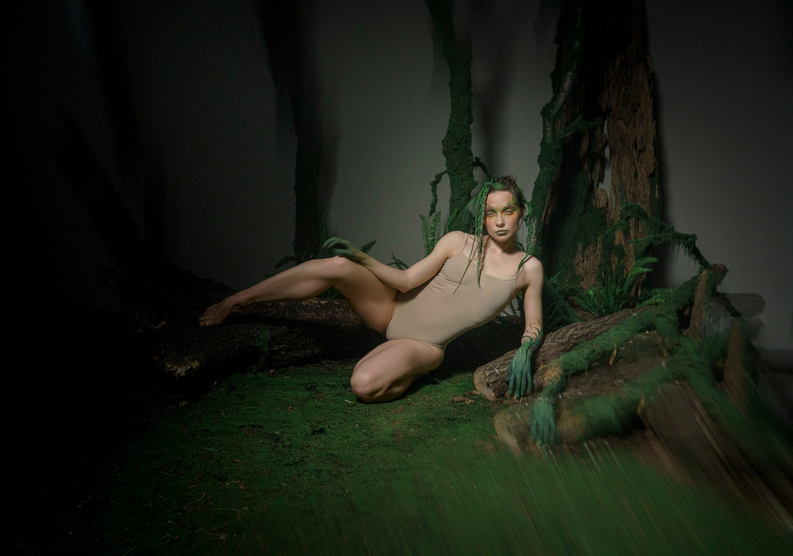 Гнездо. Фотограф Сергей Танков