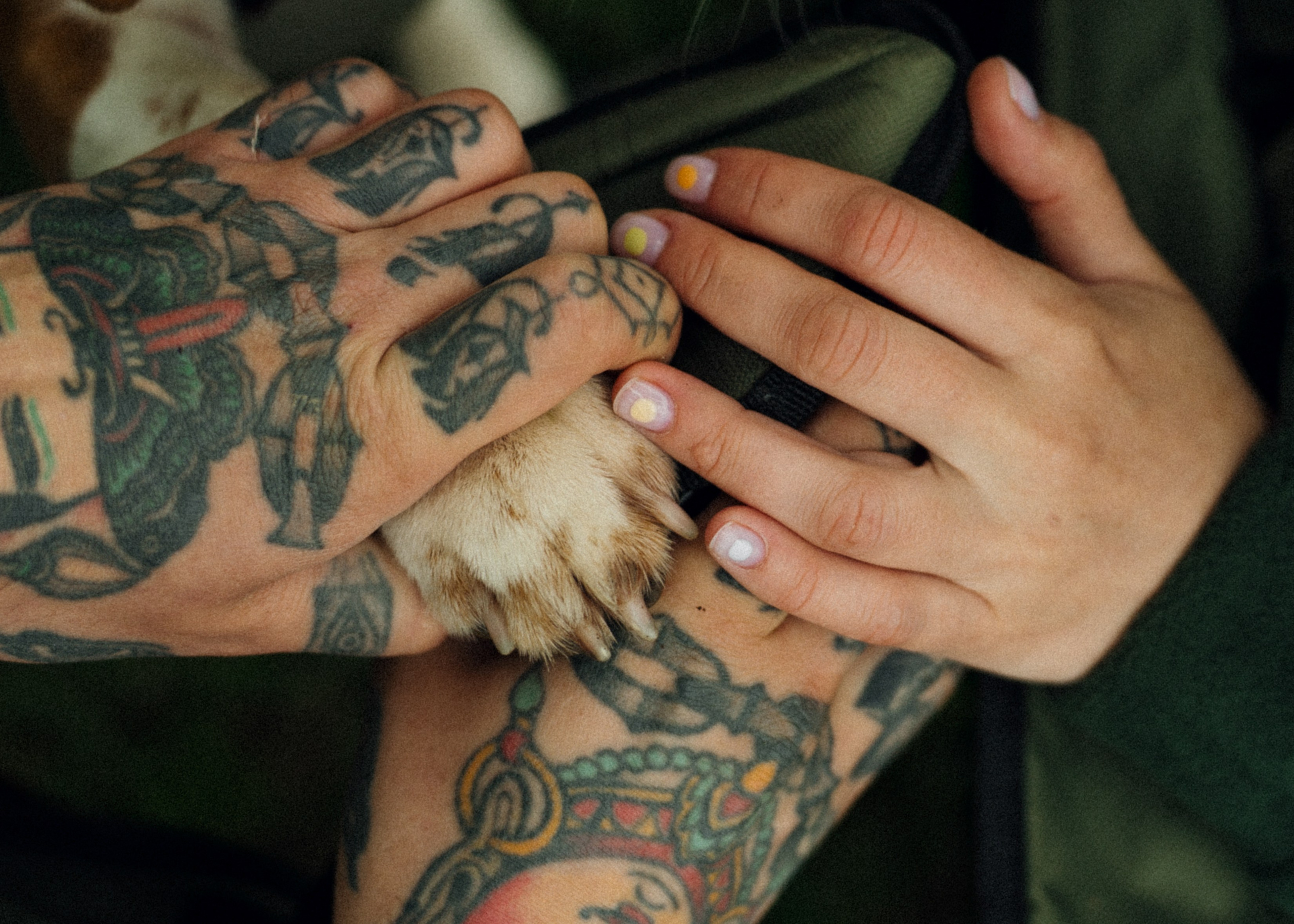 Чегем. Свадебный фотограф в Краснодаре и Сочи Винидиктова Екатерина