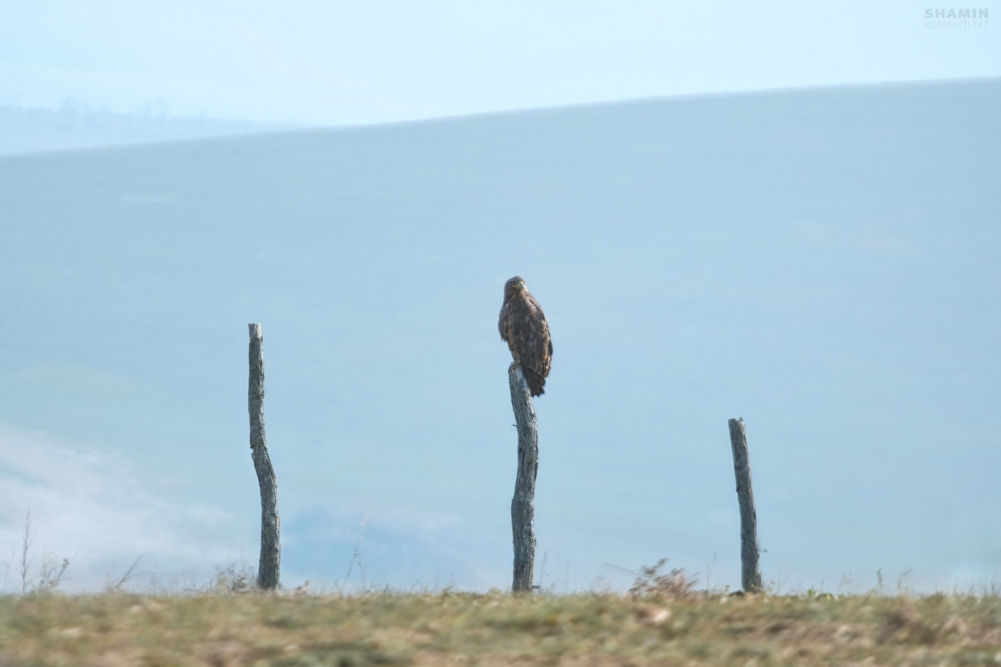 Пейзаж. Фотограф Константин Шамин
