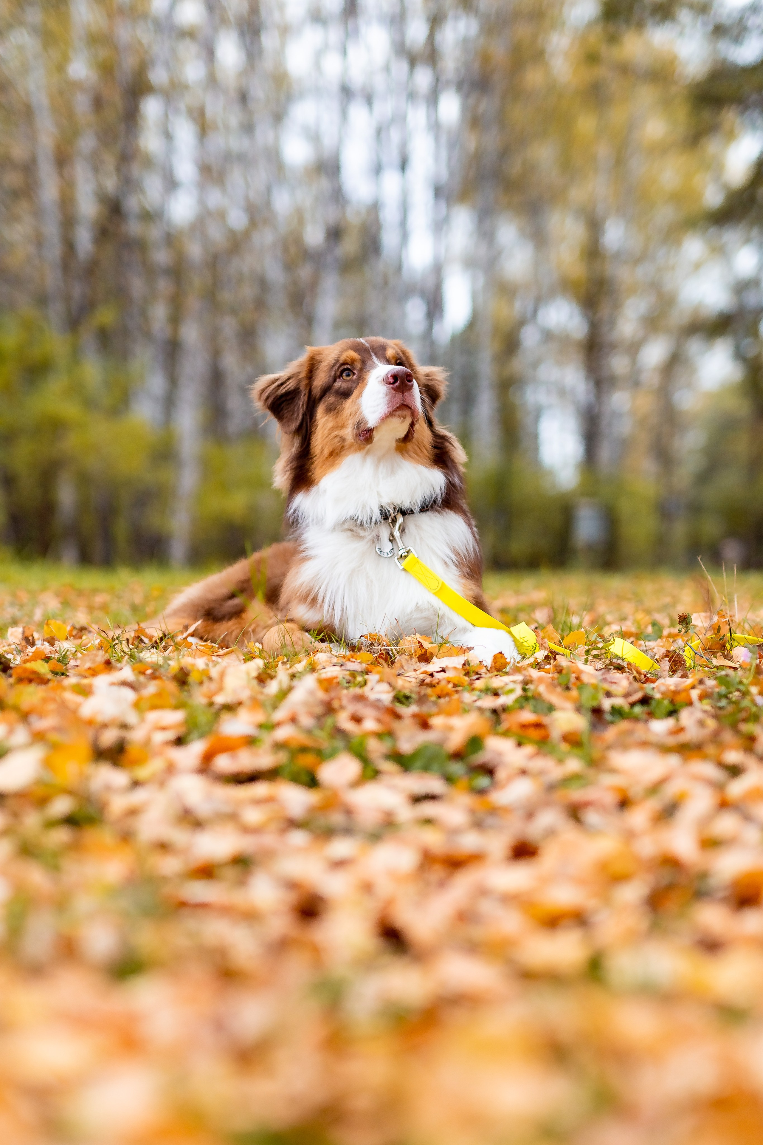 Профессиональный фотограф Верхняя Пышма. Семейный фотограф в Екатеринбурге