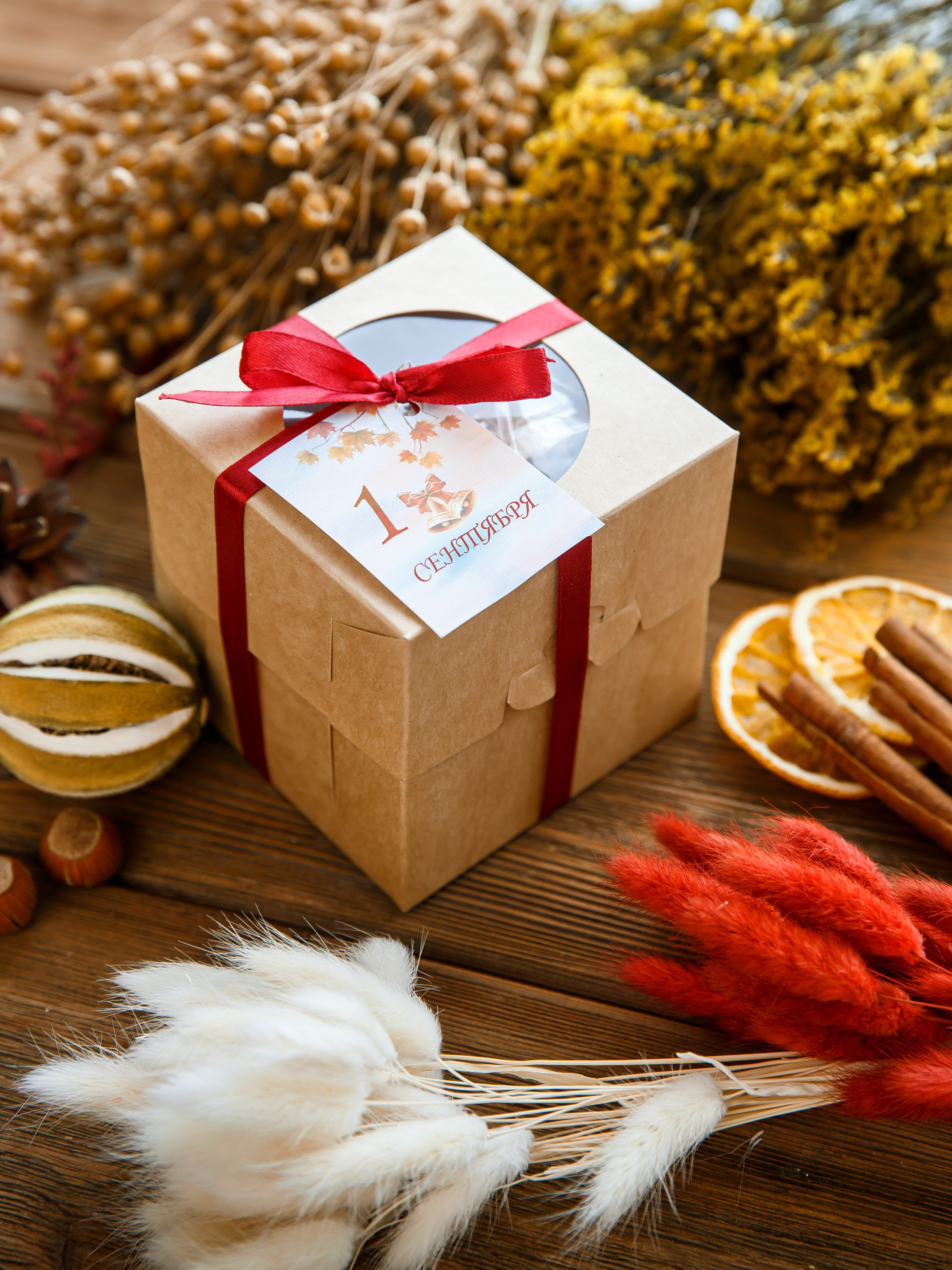 Реклама, WB, Ozon. Профессиональный фотограф в Брянске Аля Подольная. Свадебный, семейный, портретный фотограф. Выпускные альбомы. Опыт более 10 лет. АЛЯМОМЕНТ