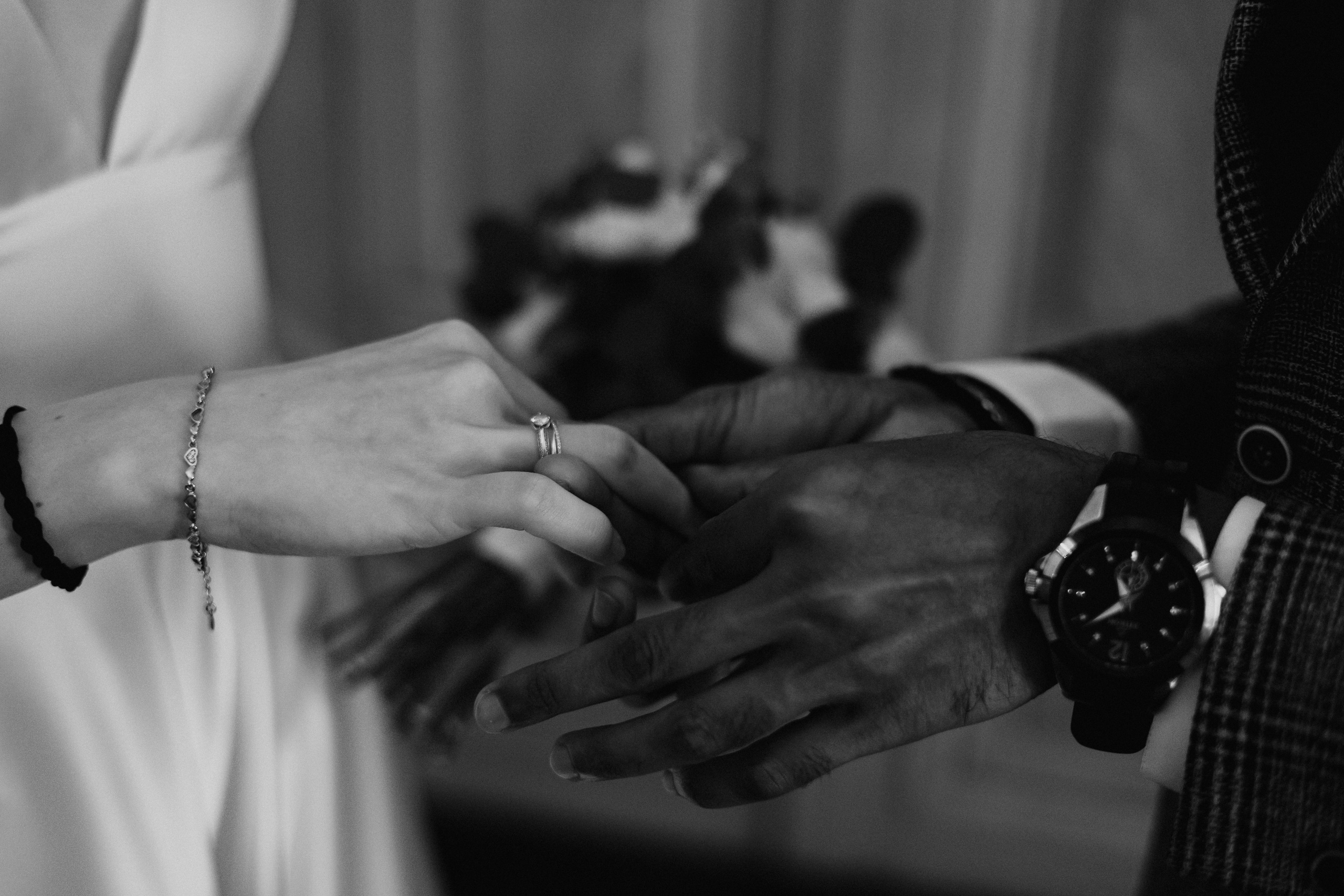 Полина и Вигнеш (ЗАГС + прогулка). Фотограф в Москве Екатерина Потапова