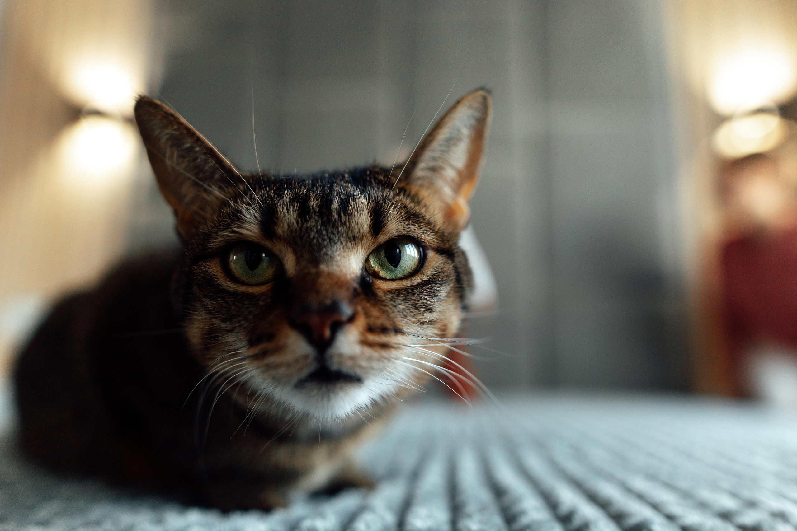 Домашняя мама Наташа и Владик