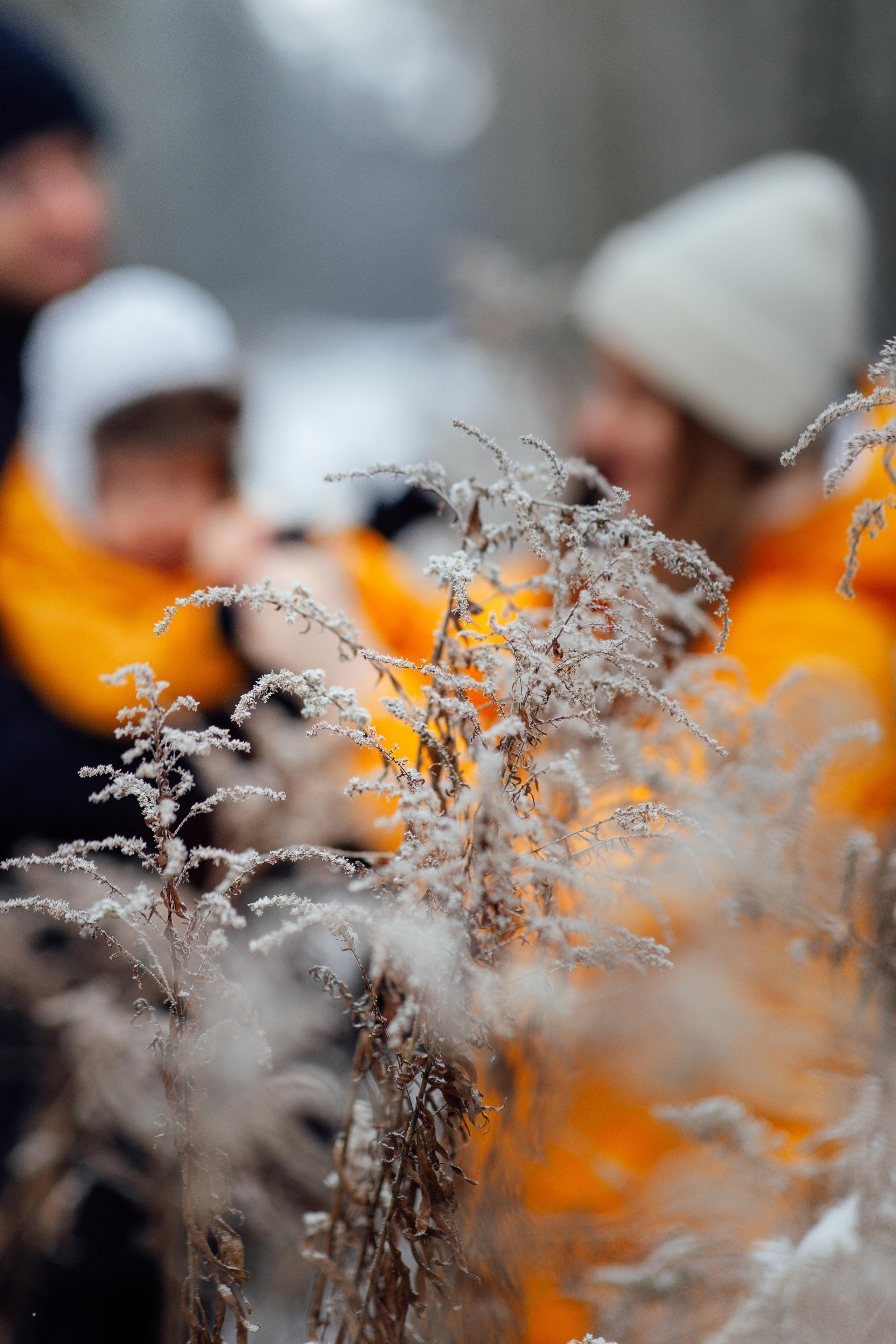 Зимняя семейная