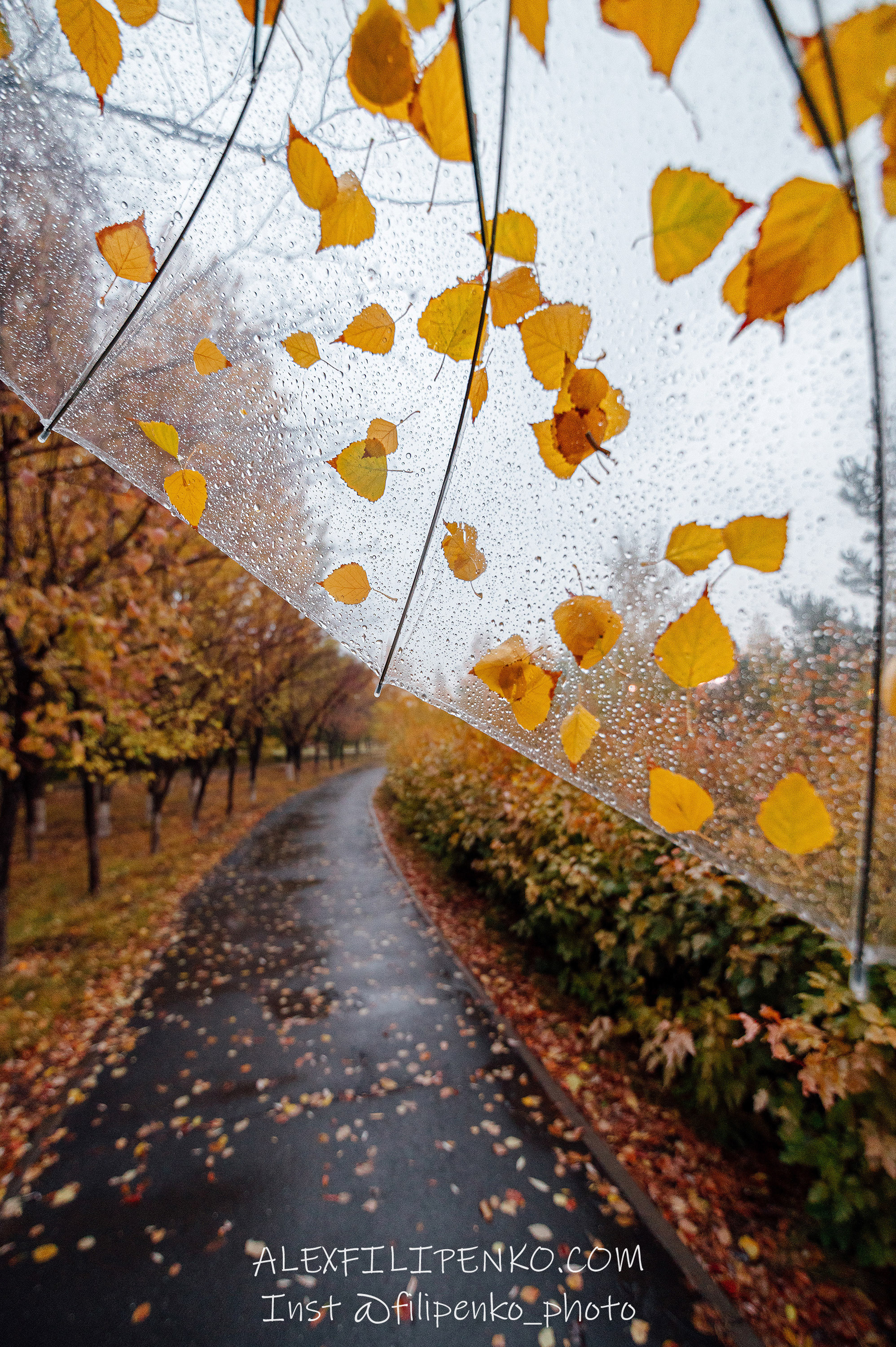 Street/Urban. Фотограф интерьера недвижимости и архитектуры в Астане