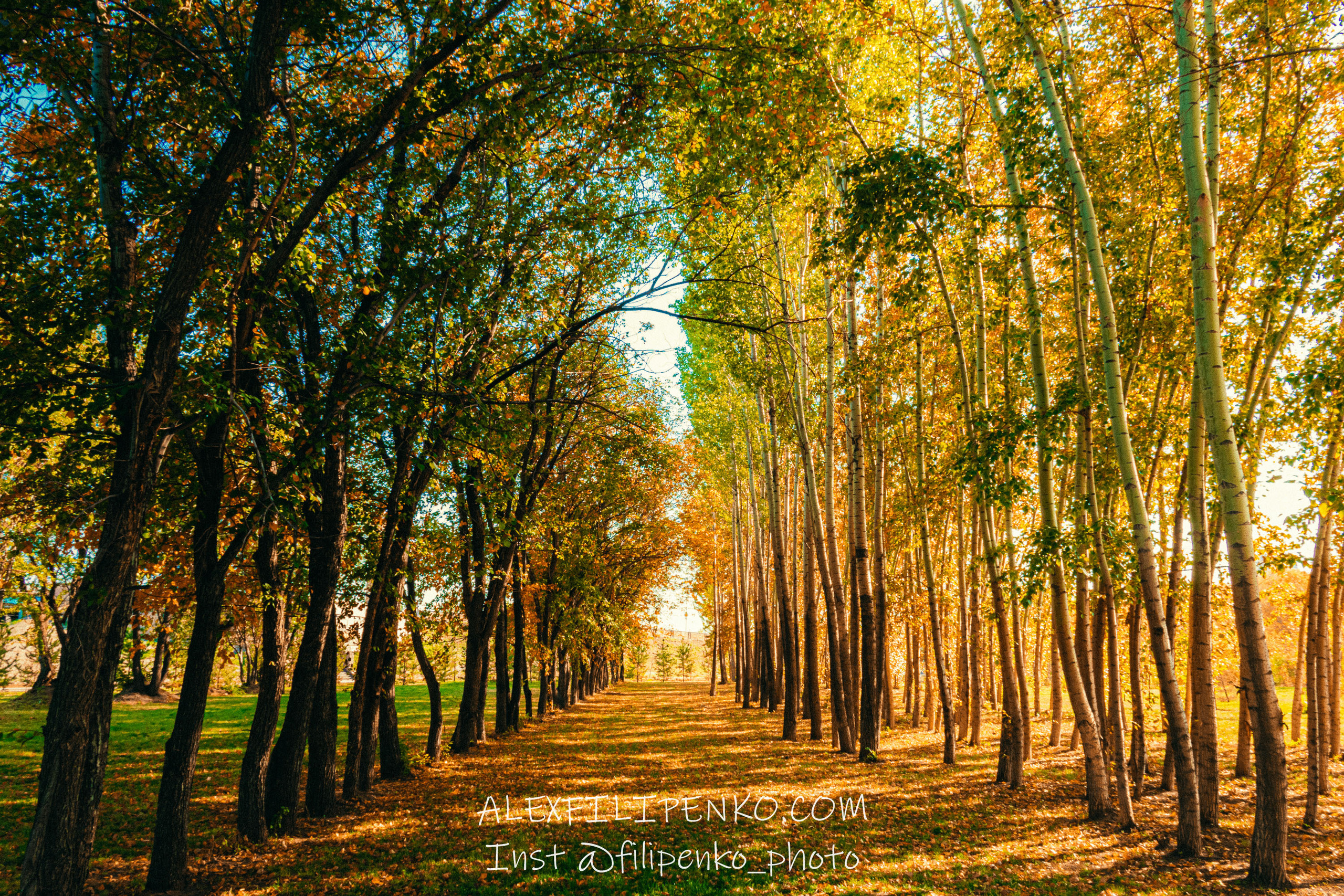 Городской пейзаж и архитектура. Фотограф интерьера недвижимости и архитектуры в Астане