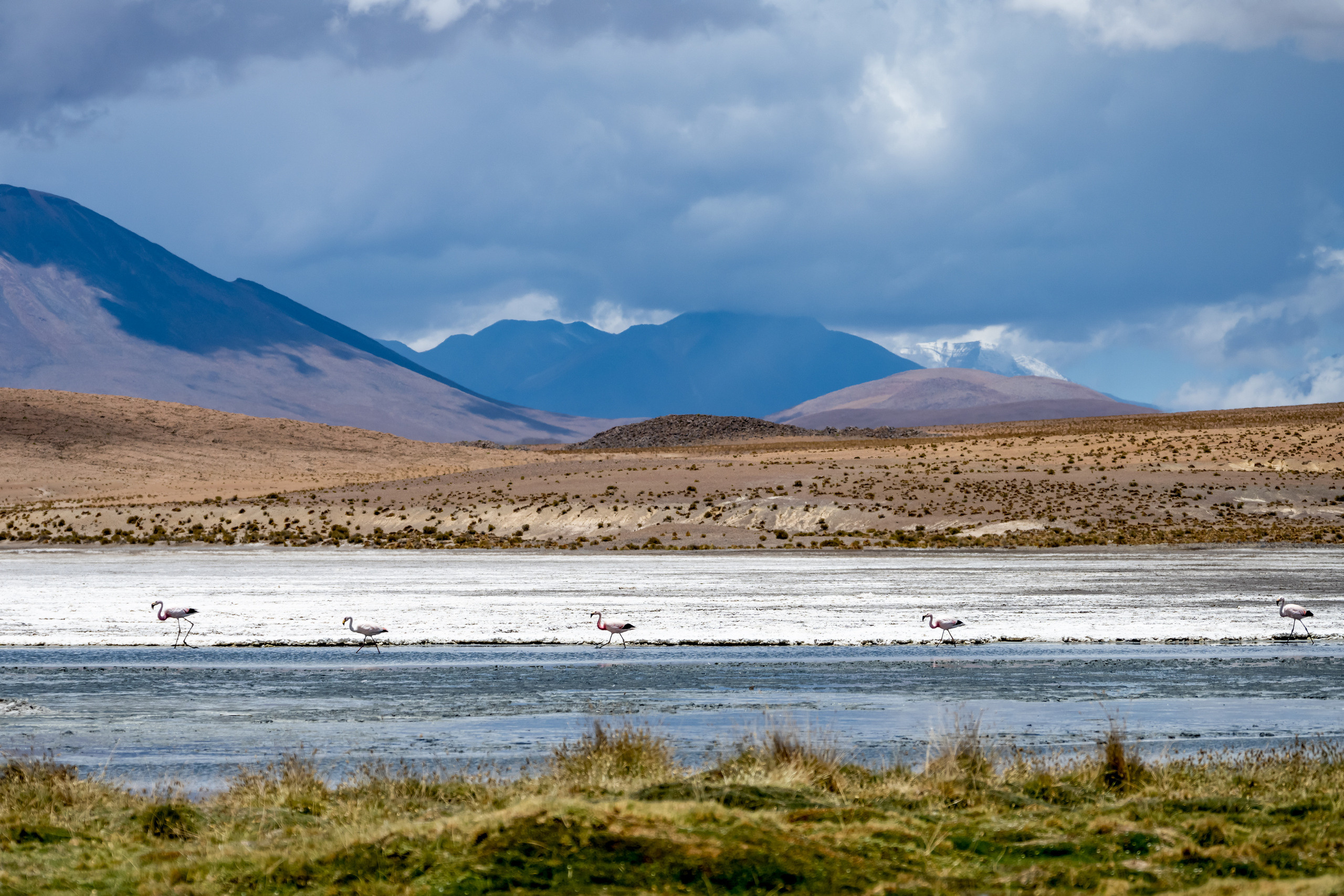 Анды, Альтиплано, Уйуни, Боливия, Пейзаж, Лагуна , Fotozuev, fotozuev, фотограф Зуев Андрей