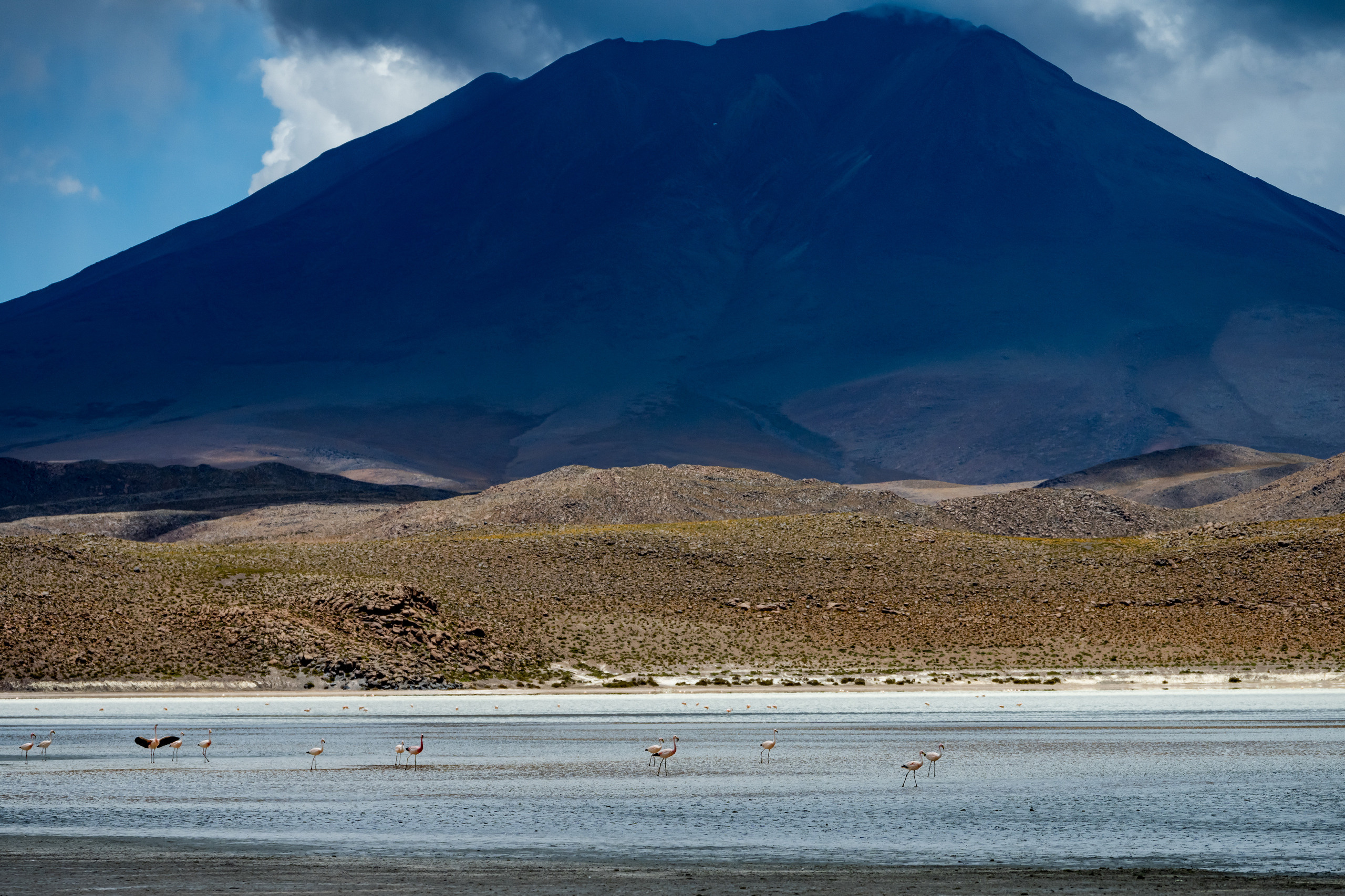 Анды, Альтиплано, Уйуни, Боливия, Пейзаж, Fotozuev, fotozuev, фотограф Зуев Андрей