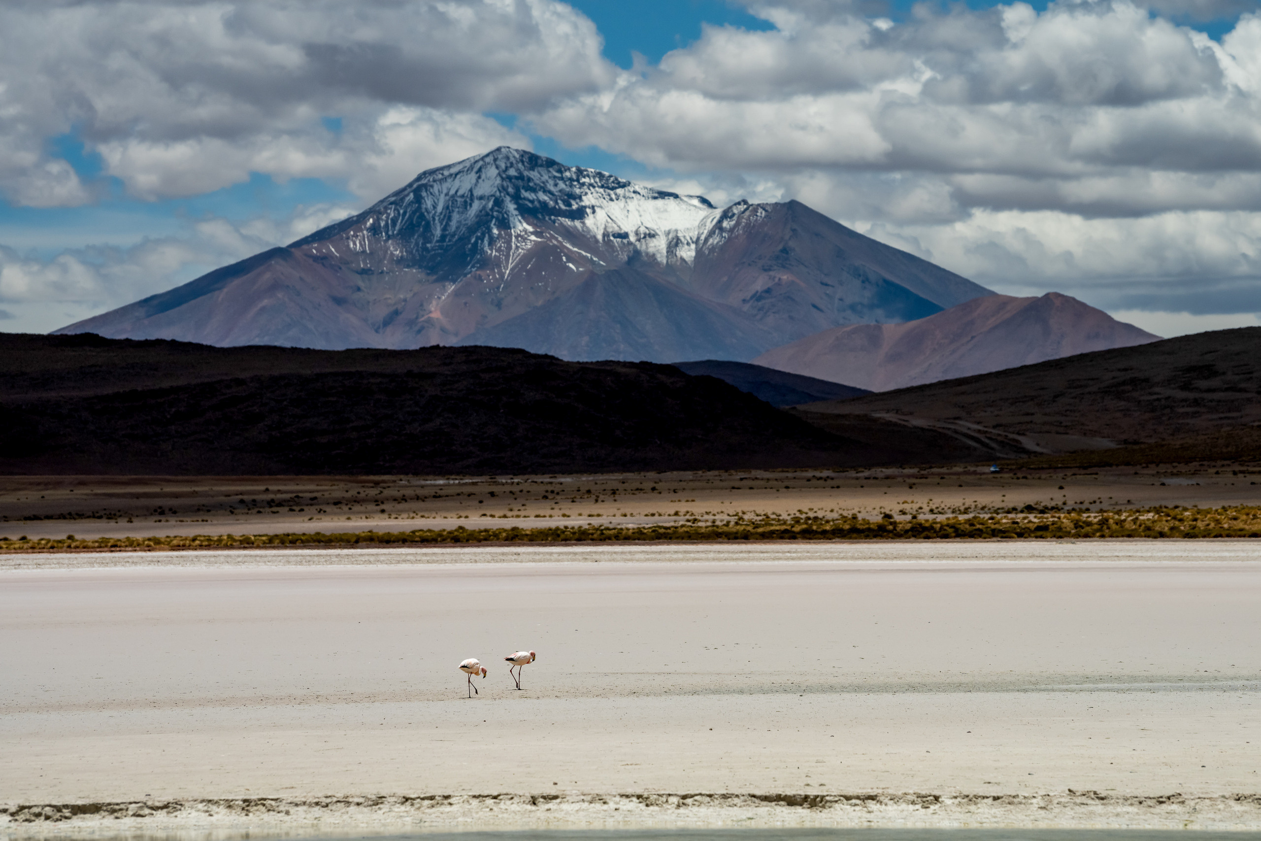 Анды, Альтиплано, Уйуни, Боливия, Пейзаж, Fotozuev, fotozuev, фотограф Зуев Андрей