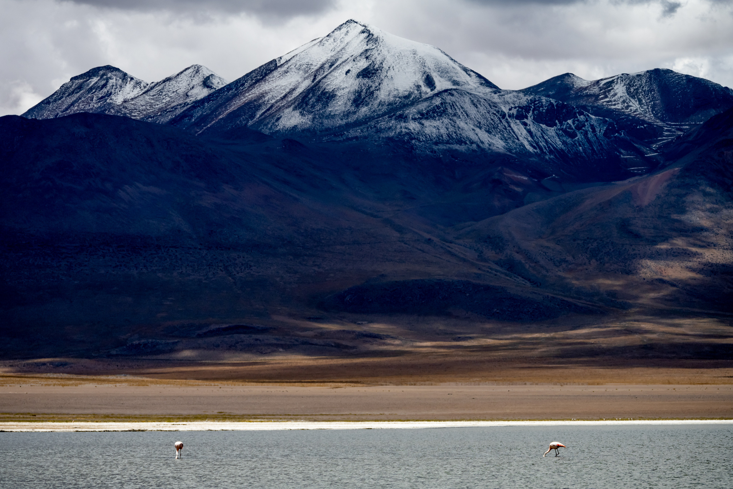 Анды, Альтиплано, Уйуни, Боливия, Пейзаж, Fotozuev, fotozuev, фотограф Зуев Андрей