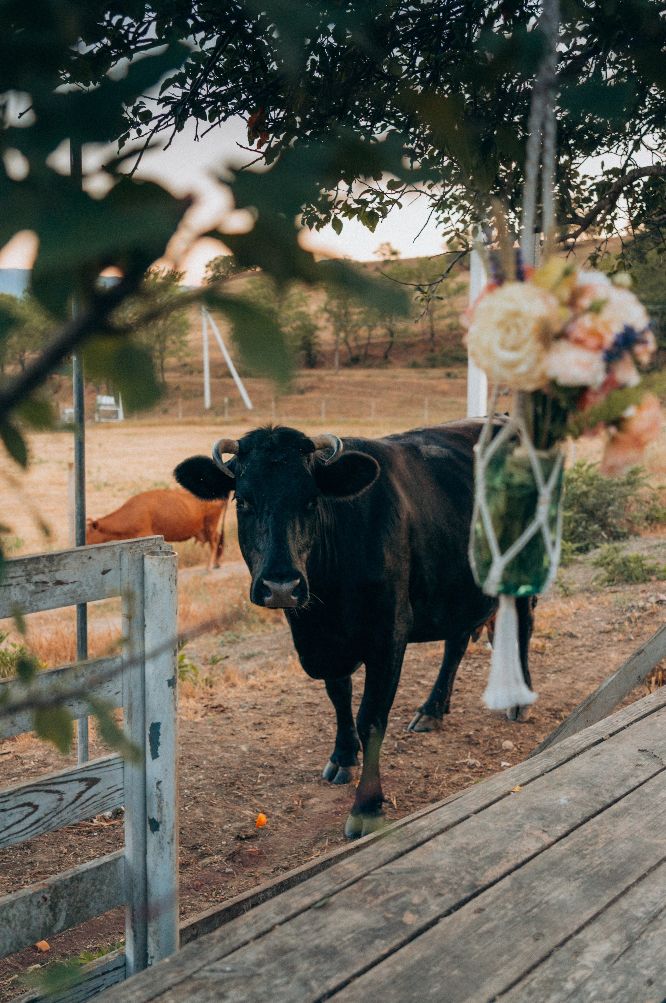Мастер-класс по флористике. Обо мне