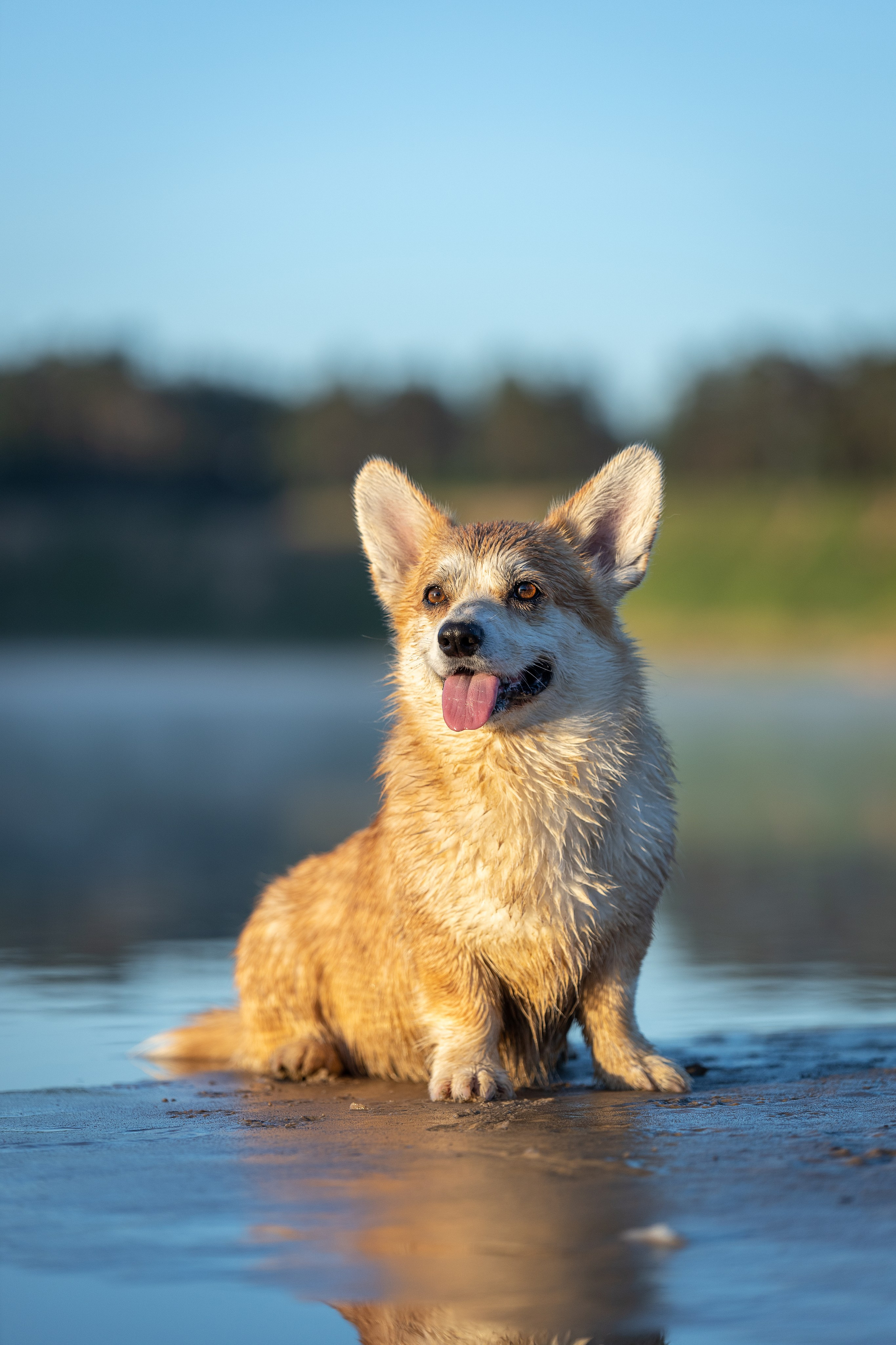 Рассвет. Фотограф-анималист Александра Шеремет