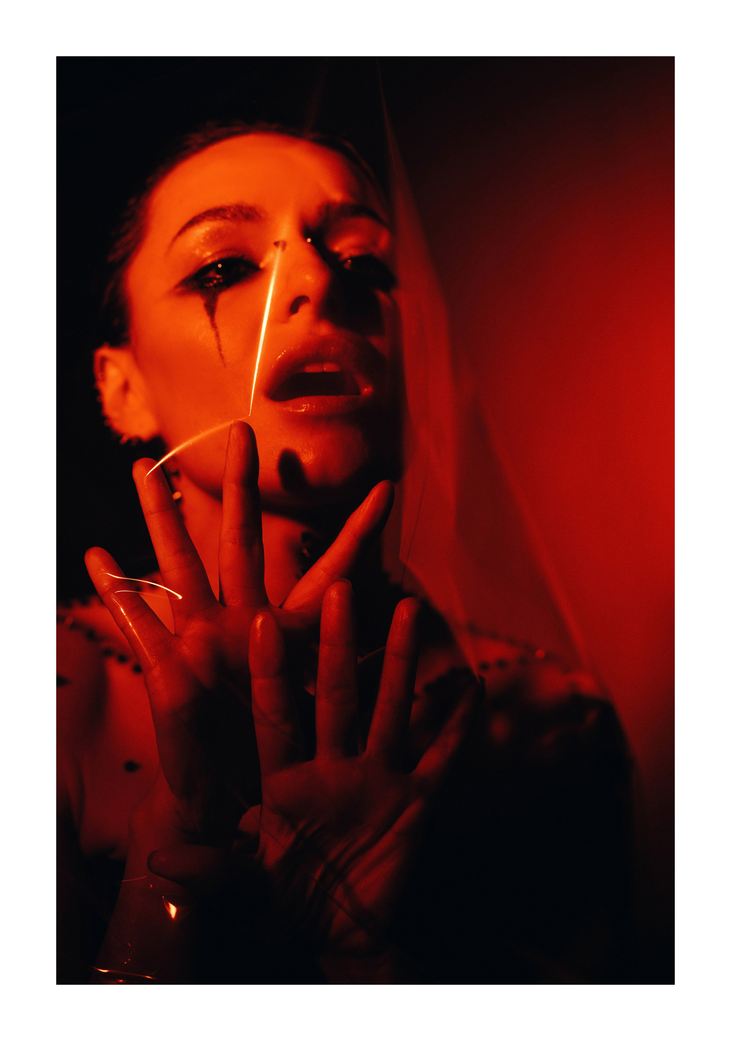 Rose with thorns. Ксения Копна. Фотограф из Санкт-Петербурга