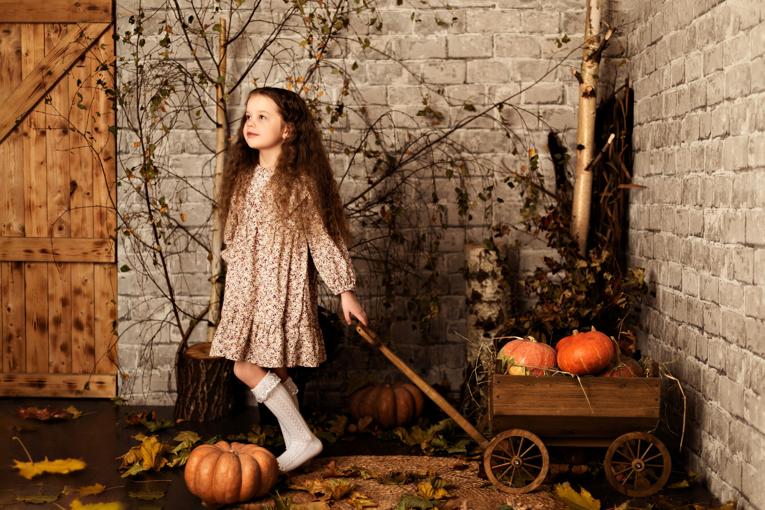 Цены. Детский и семейный фотограф в Люберцах Татьяна Ткаченко