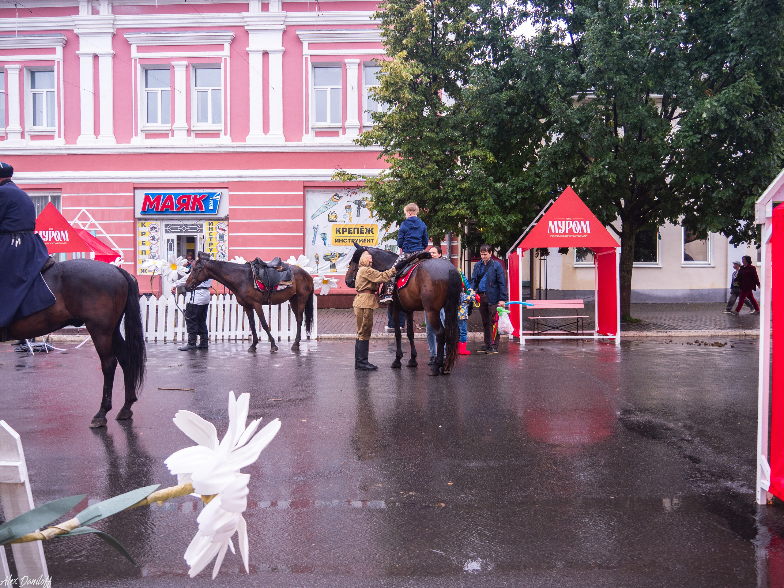 День города Муром 2025. Муром-Инфо. Новости культуры, образования, спорта в городе Муром