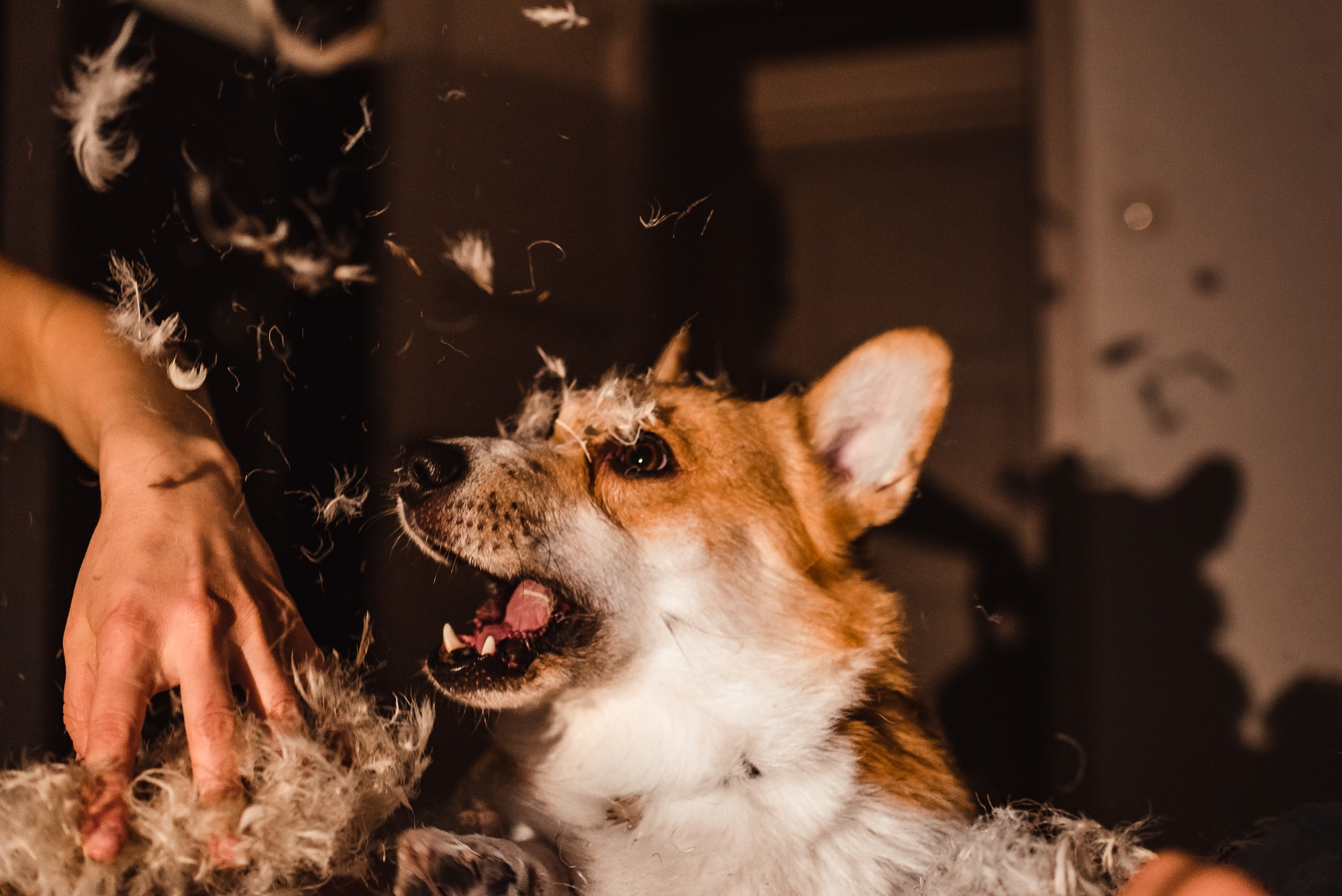 Пижамная вечеринка Тани и Димы. Семейный Фотограф в Москве Ирина Хохлова
