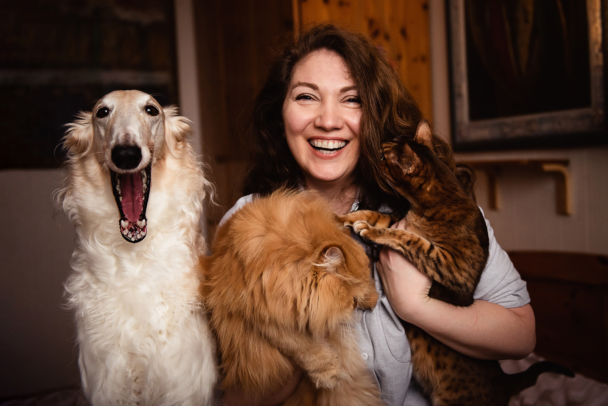 Квартира с картинами. Алиса, Андрей и их пушистая семья. Семейный Фотограф в Москве Ирина Хохлова